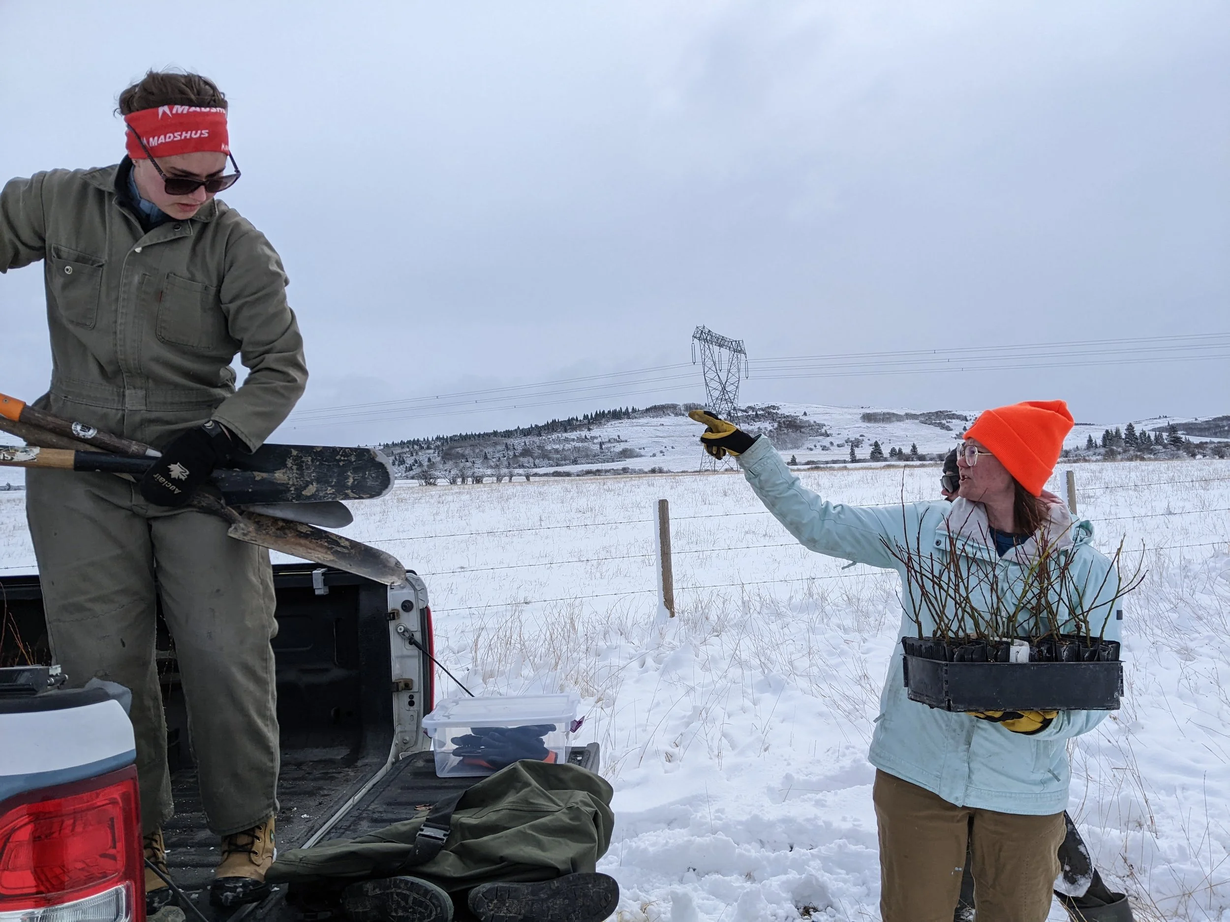 Mid April 2025! First planting day of the year! Way up by Chain Lakes. We were planting willows all around a newly made dugout, and over the course of the day all this snow got mixed into the clay soil and everyone got covered in mud. I had SO MUCH 