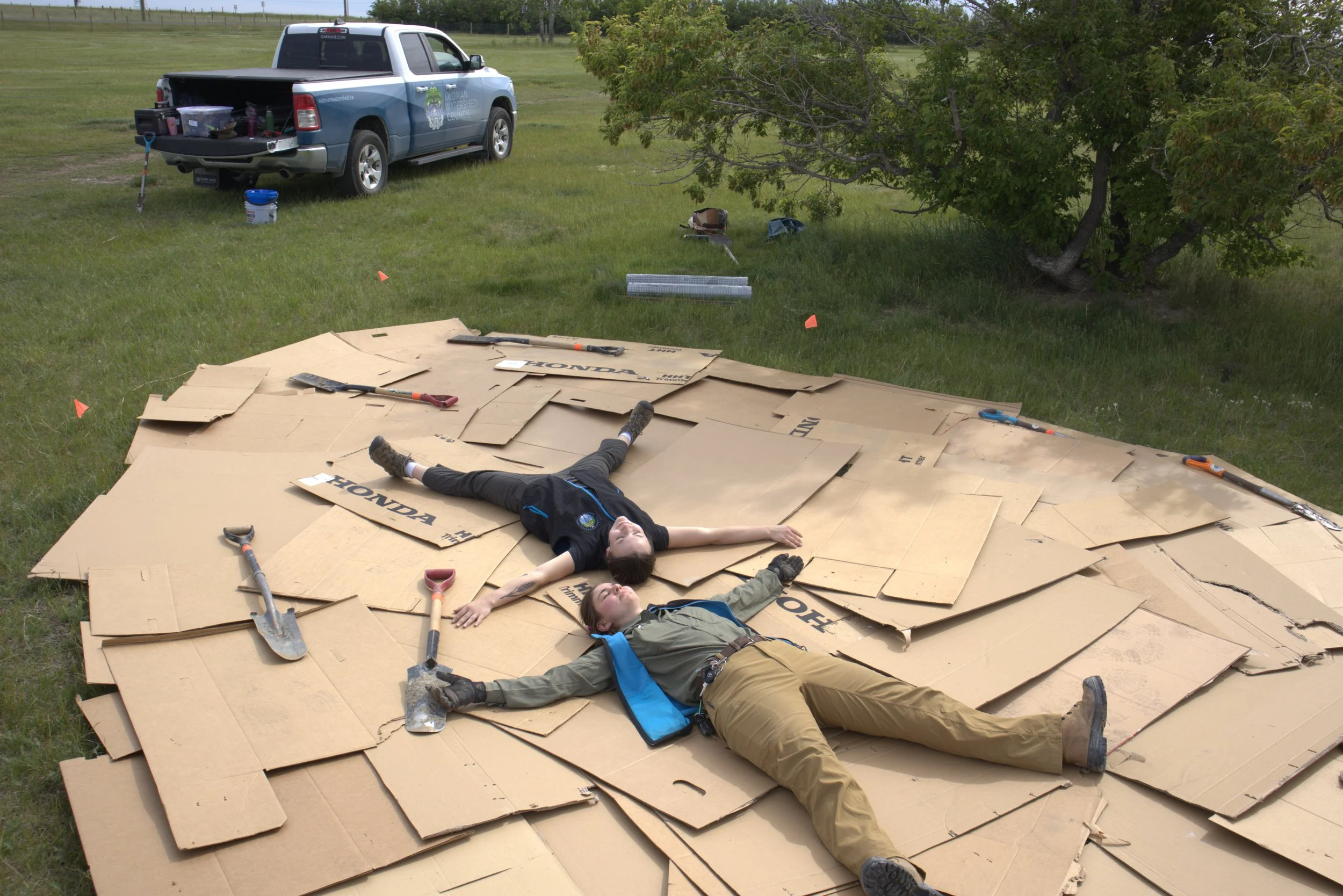  June 2025, planting a community pollinator garden in Claresholm. This was Chantel’s third or fourth day on the job as a WSA, and it was a long one. Here we are acting as helpful weights to keep our prepped site from blowing away in the wind before t