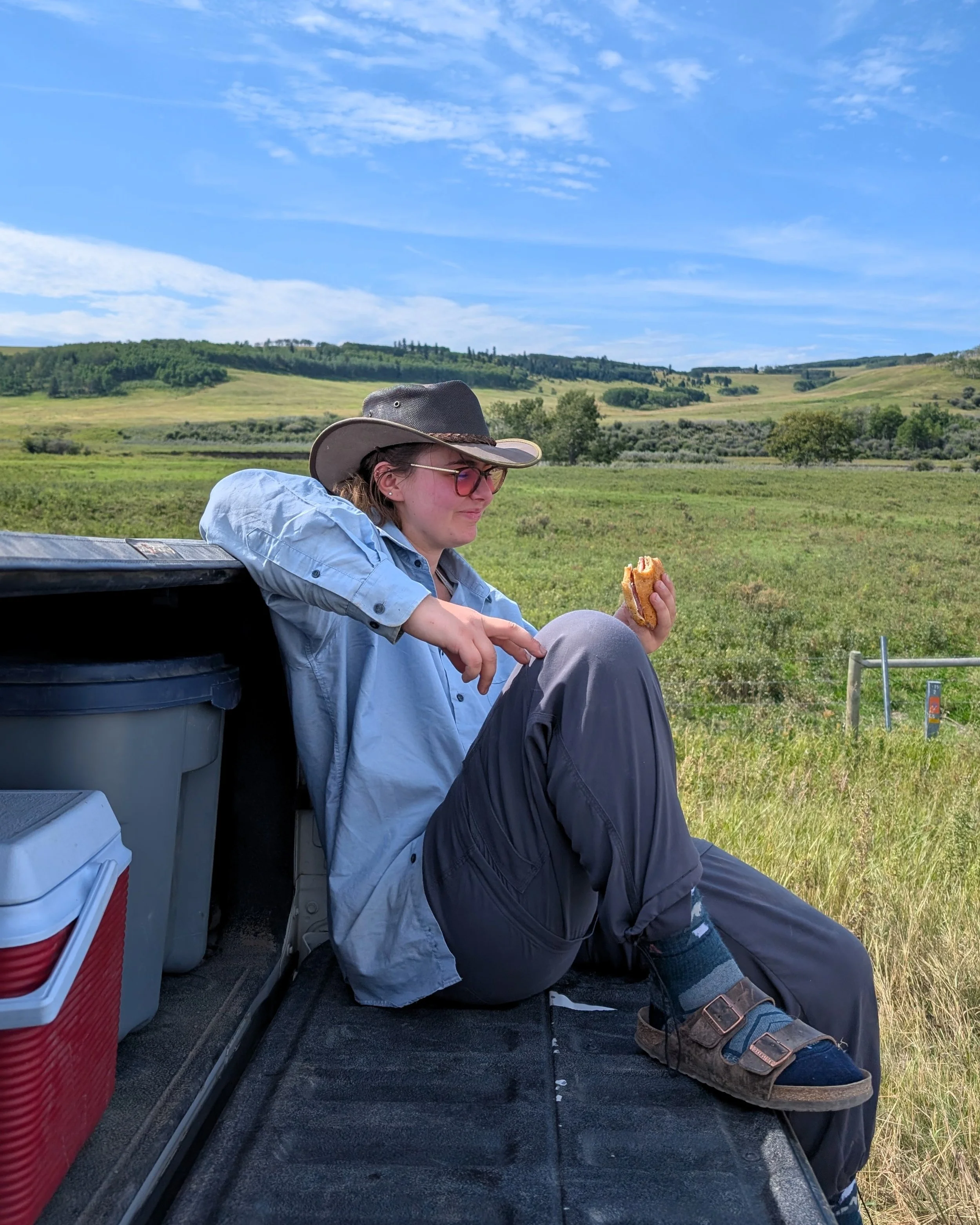  August 2025, CABIN season, near Chain Lakes. An INCREDIBLE lunch spot. Anyone who has ever worked a field day with me knows my love for sandwiches. In the valley behind me is Willow Creek. 