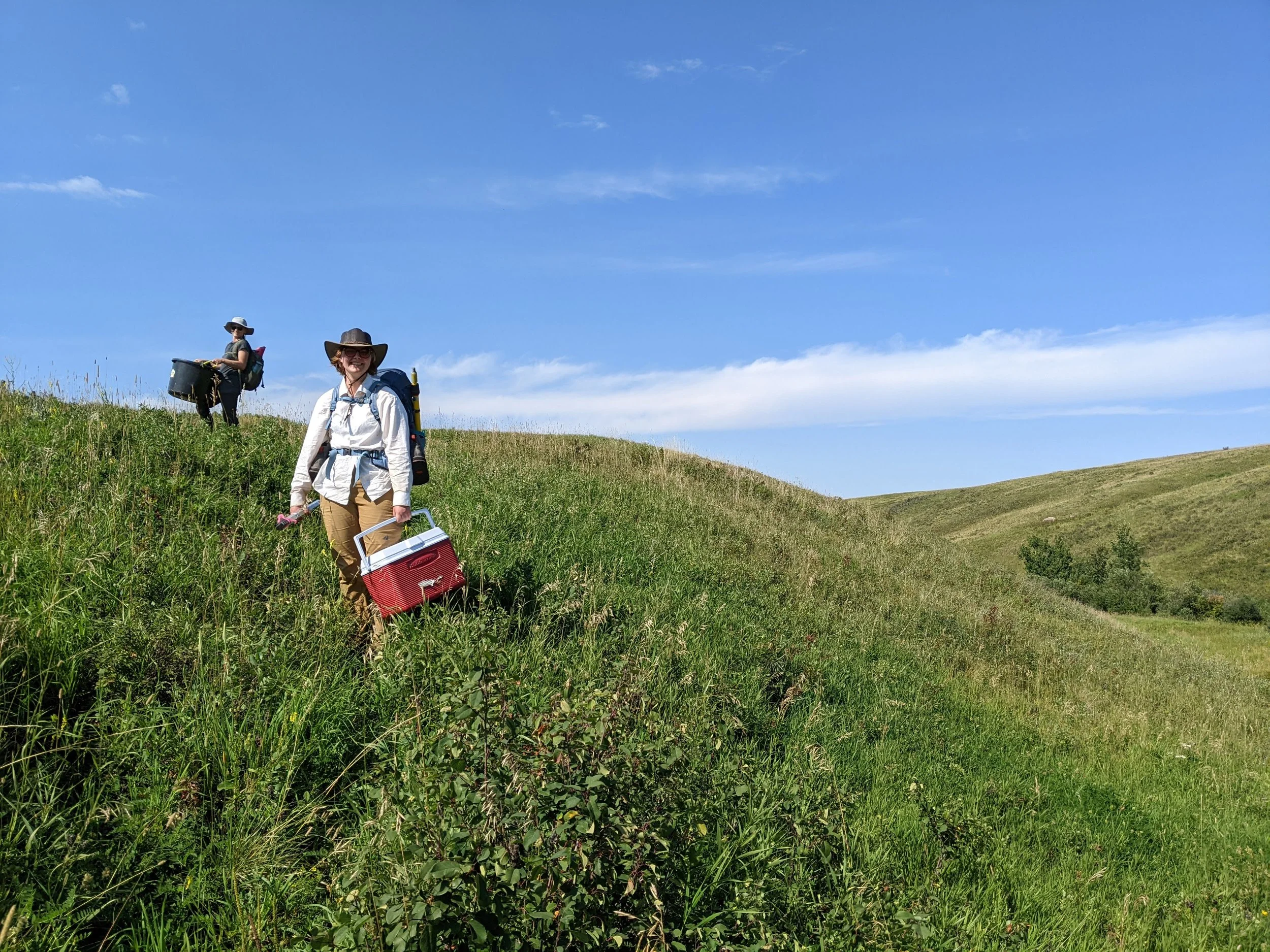  September 2025. This is a stage in our evolving gear-carrying strategy. This year, we sampled a lot of creeks that had pretty long hikes in, over rough-ish terrain. We moved from our previous ‘put everything in the wagon’ strategy to a more flexible