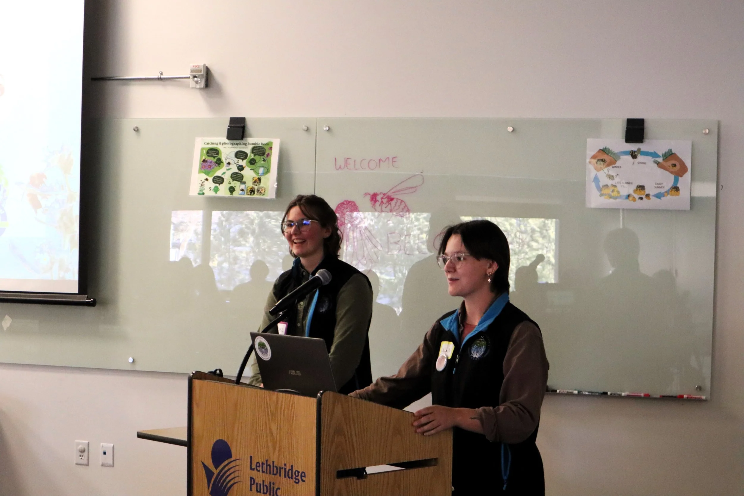  March 2026. Bumble Bee-ginners at the public library in Lethbridge. Chantel and I planned this event to feel like a lab session at university, but without a quiz at the end. 