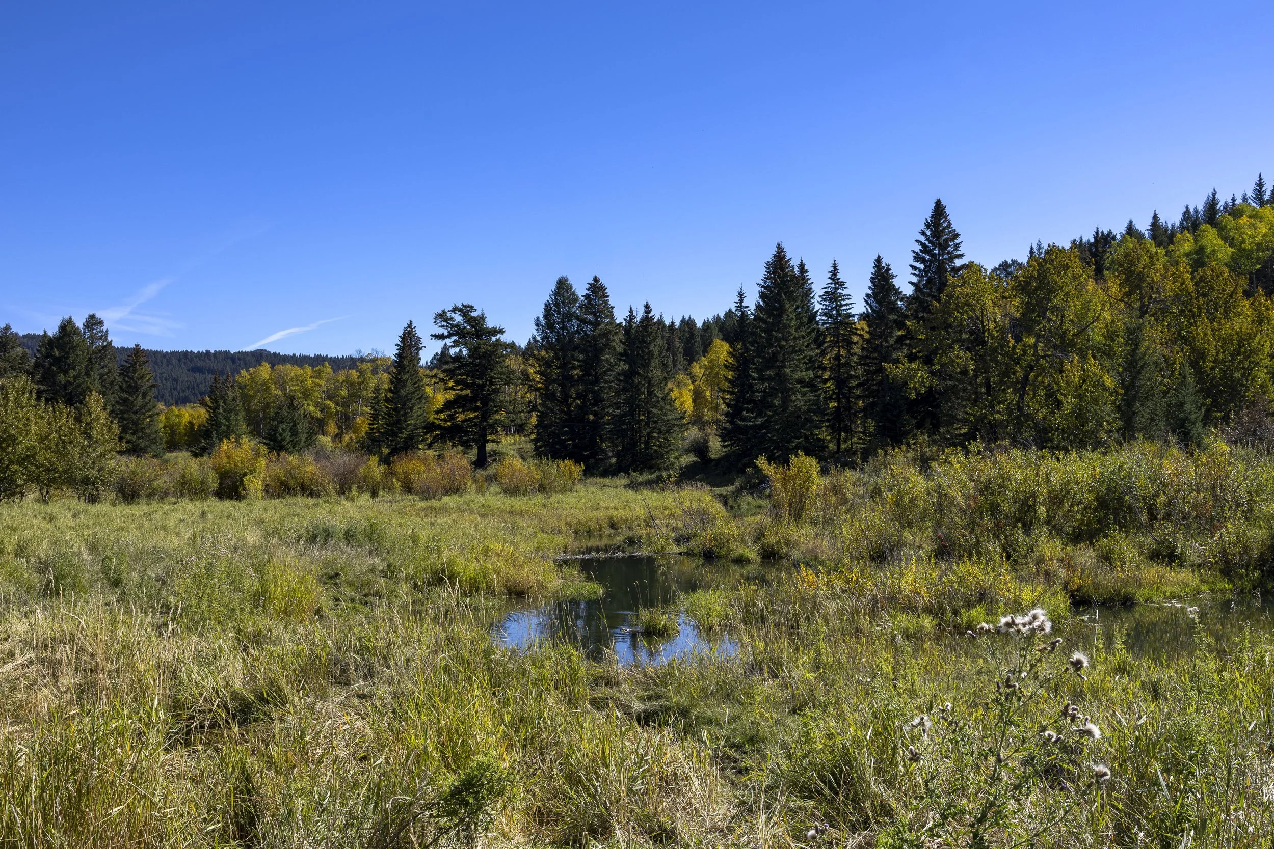 Ecosystem Services Calculator is Live!