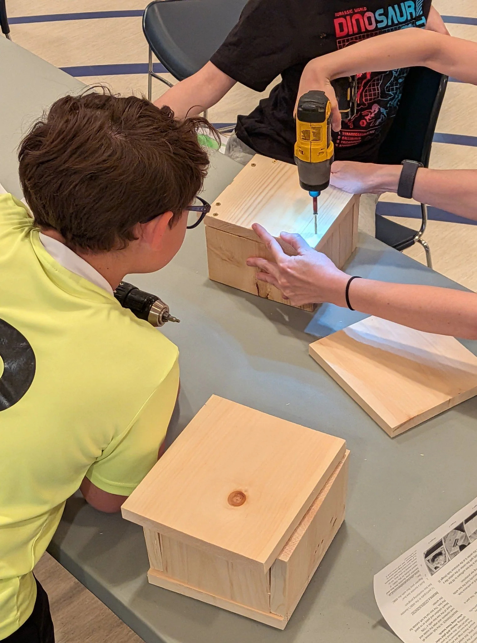 Bumble Bee Boxes