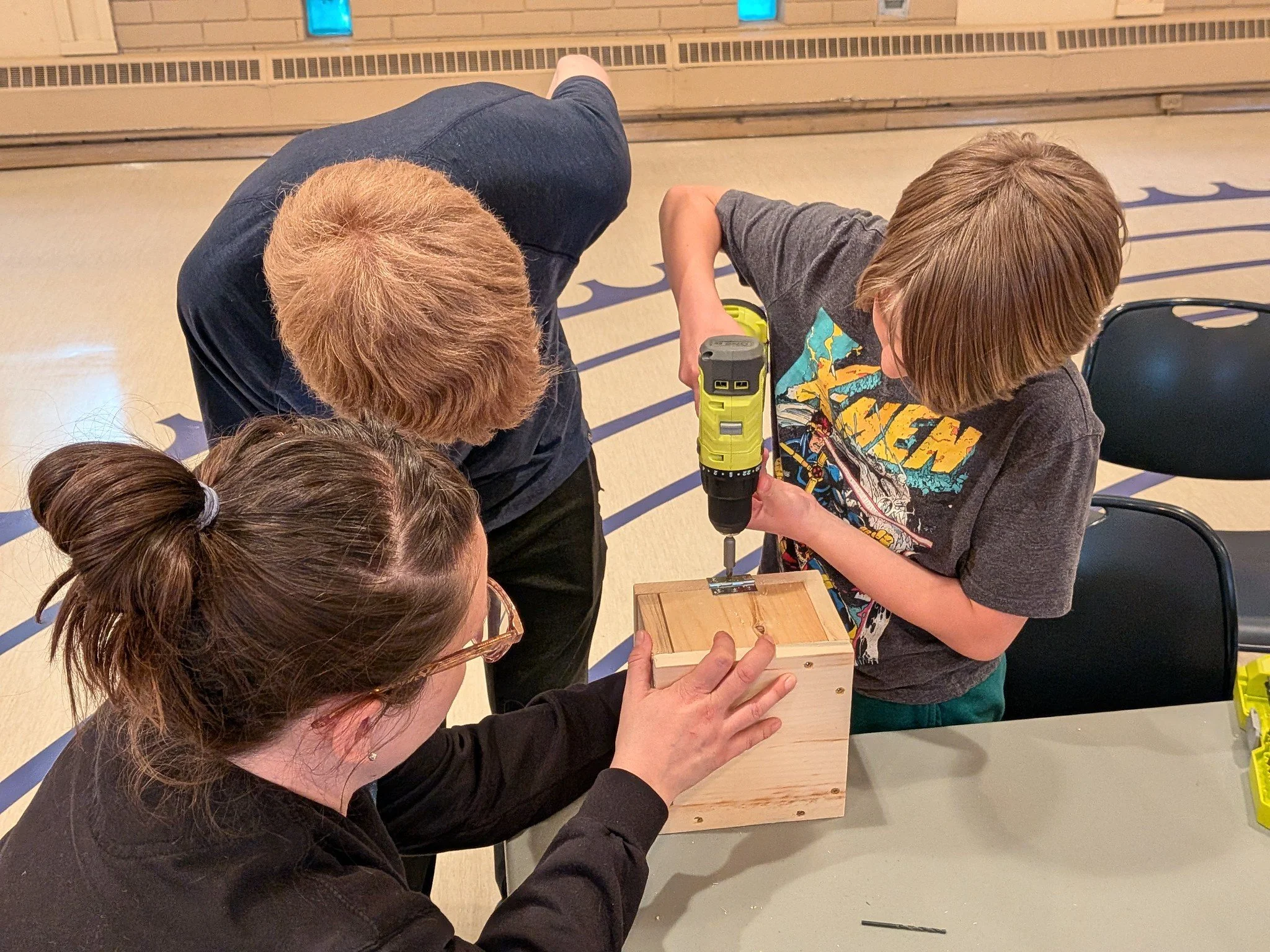 Bumble Bee Boxes