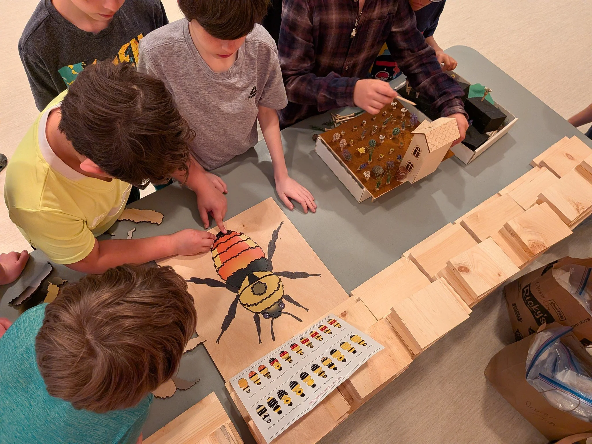 Bumble Bee Boxes