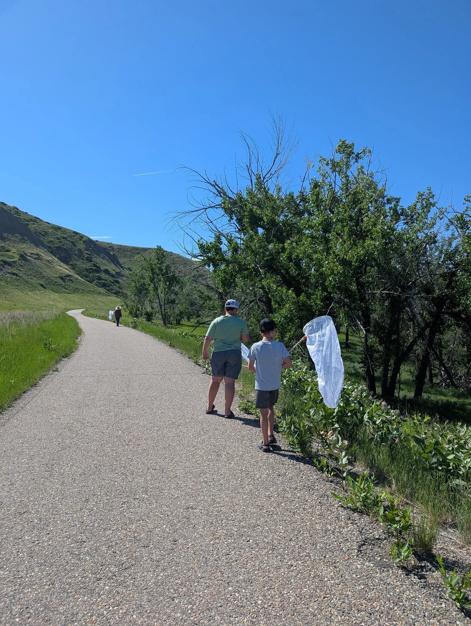 Bumble Bee Bioblitz June 2026