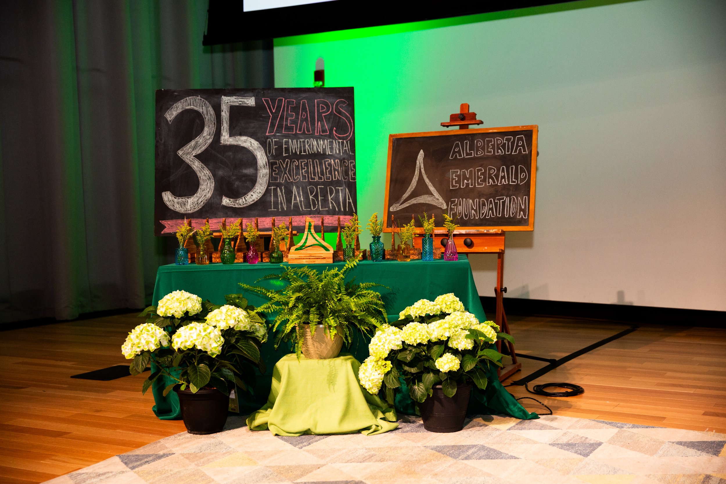 Celebrating the 35th Annual Emerald Award Winners