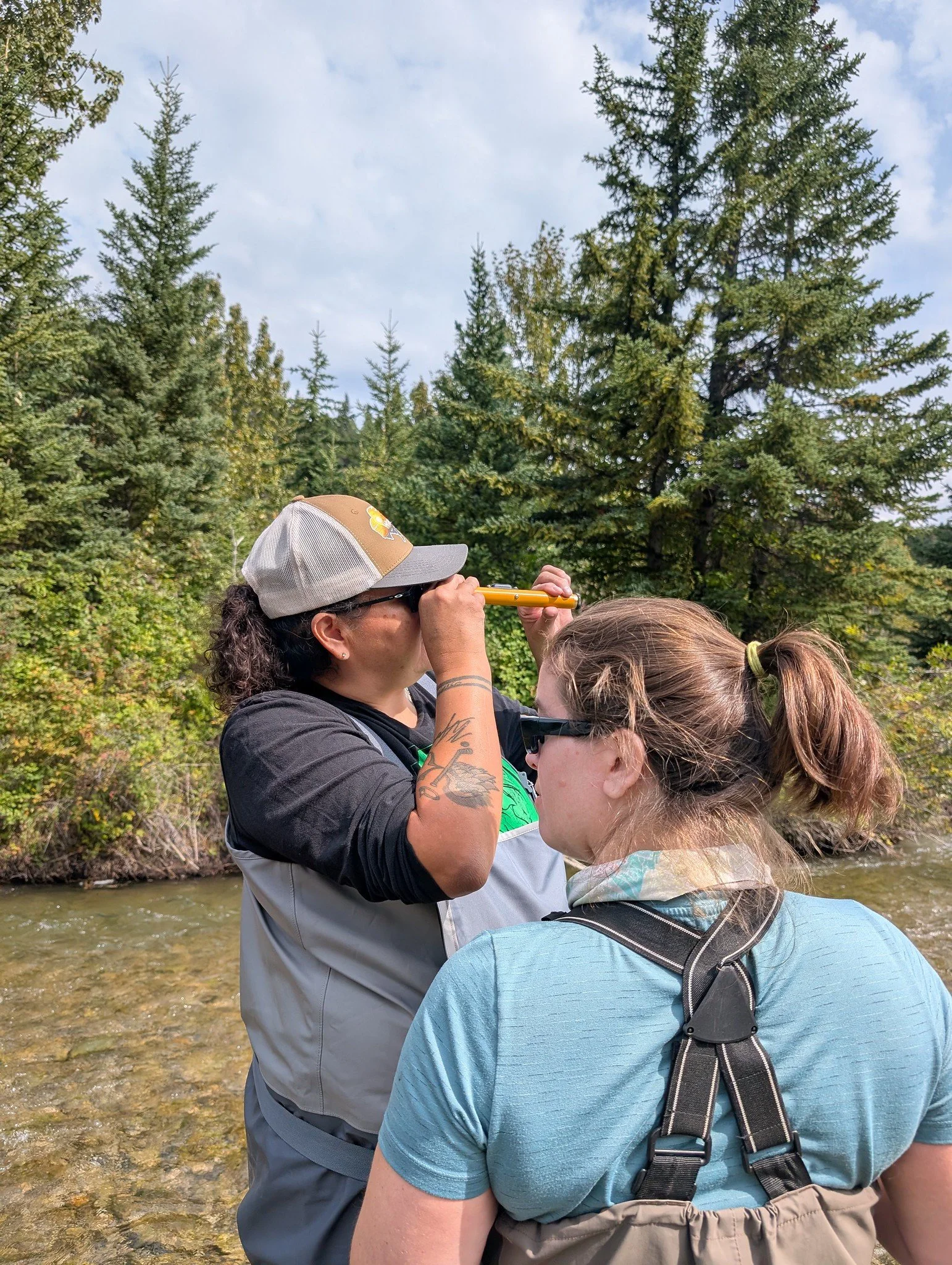 CABIN Certification 2026 Coleman Creek