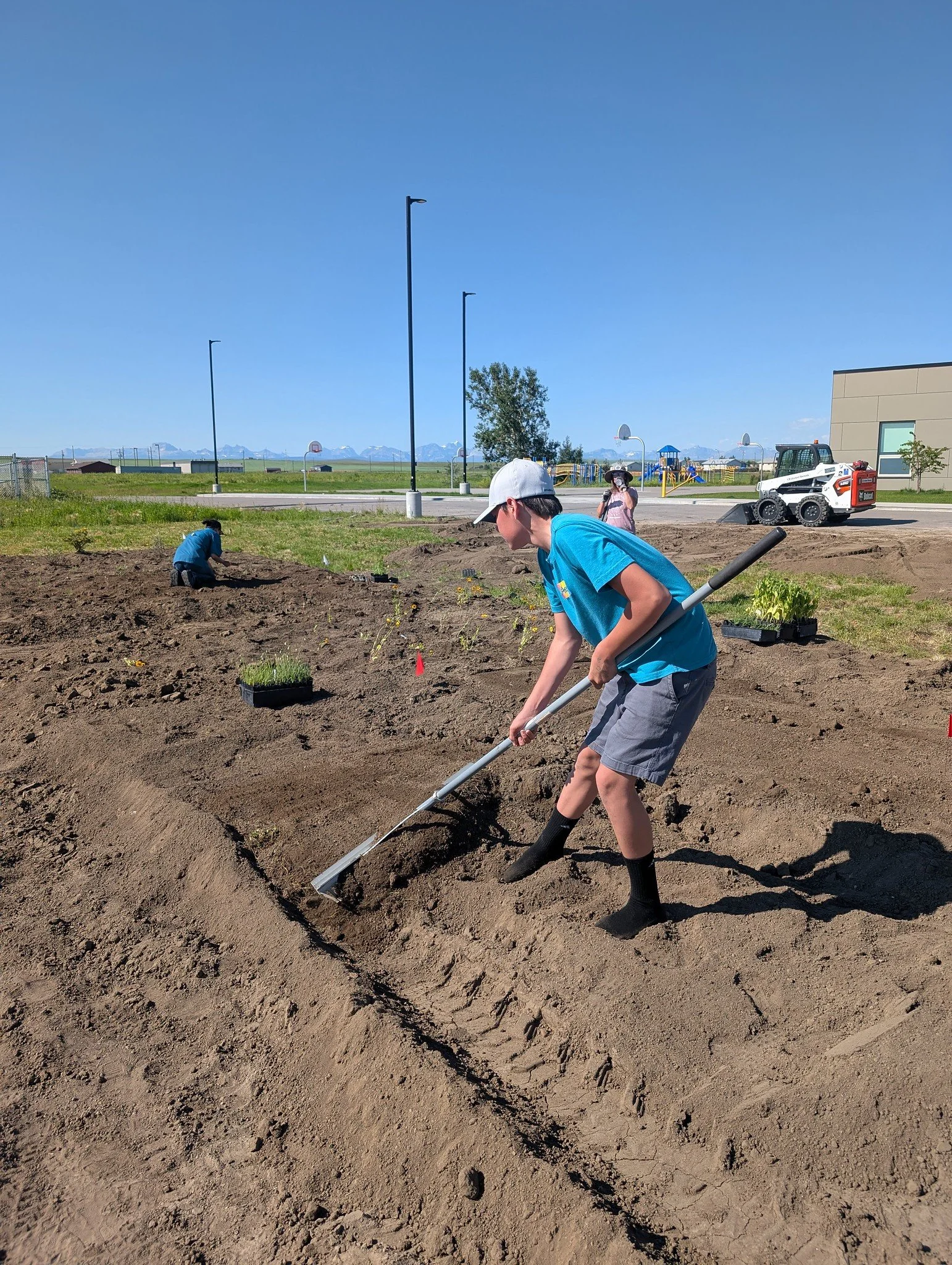 Lavern Pollinator Garden