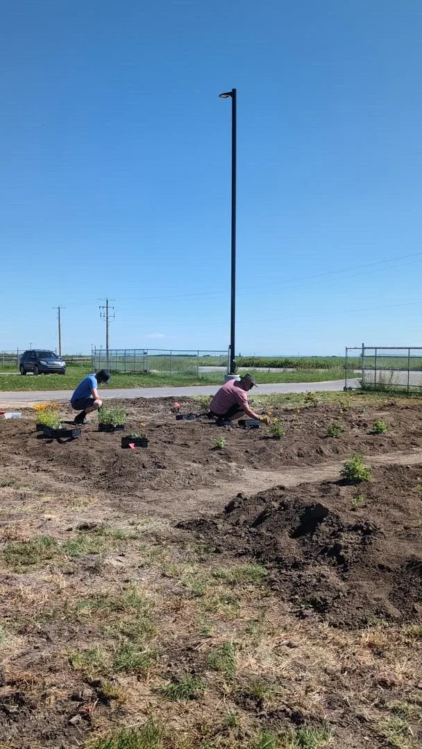 Lavern Pollinator Garden