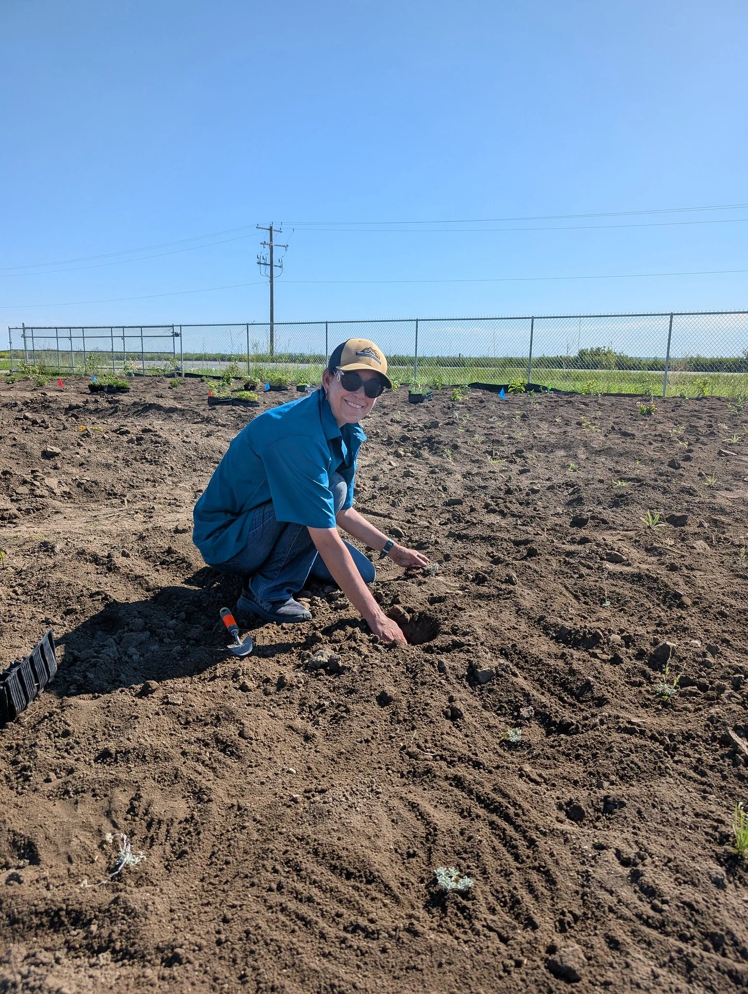 Lavern Pollinator Garden