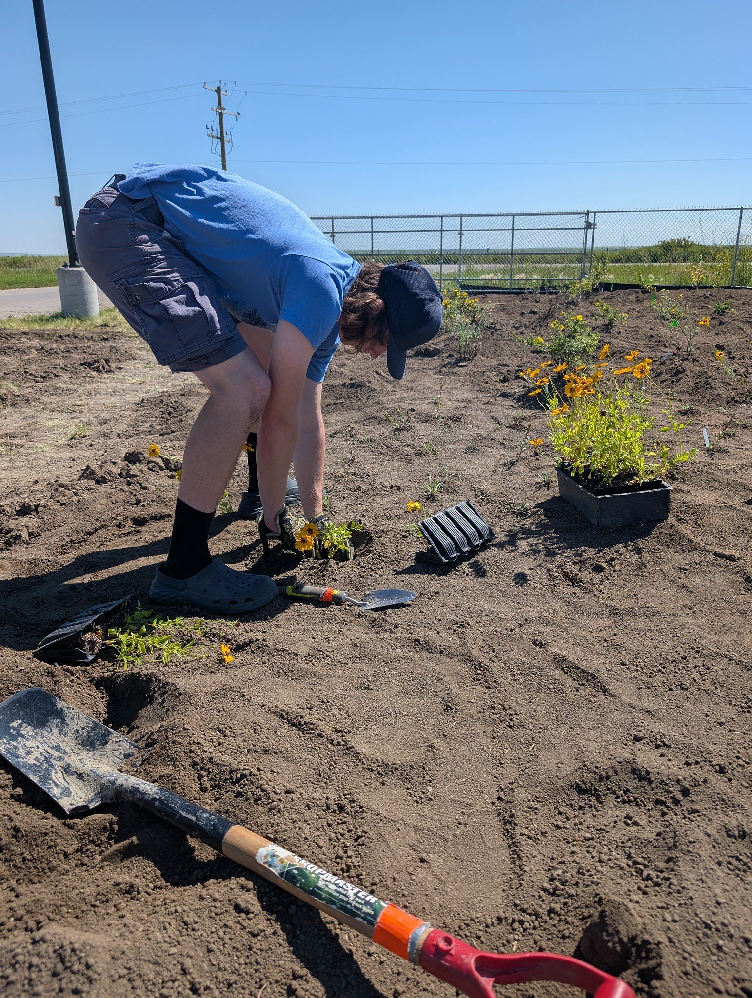Lavern Pollinator Garden