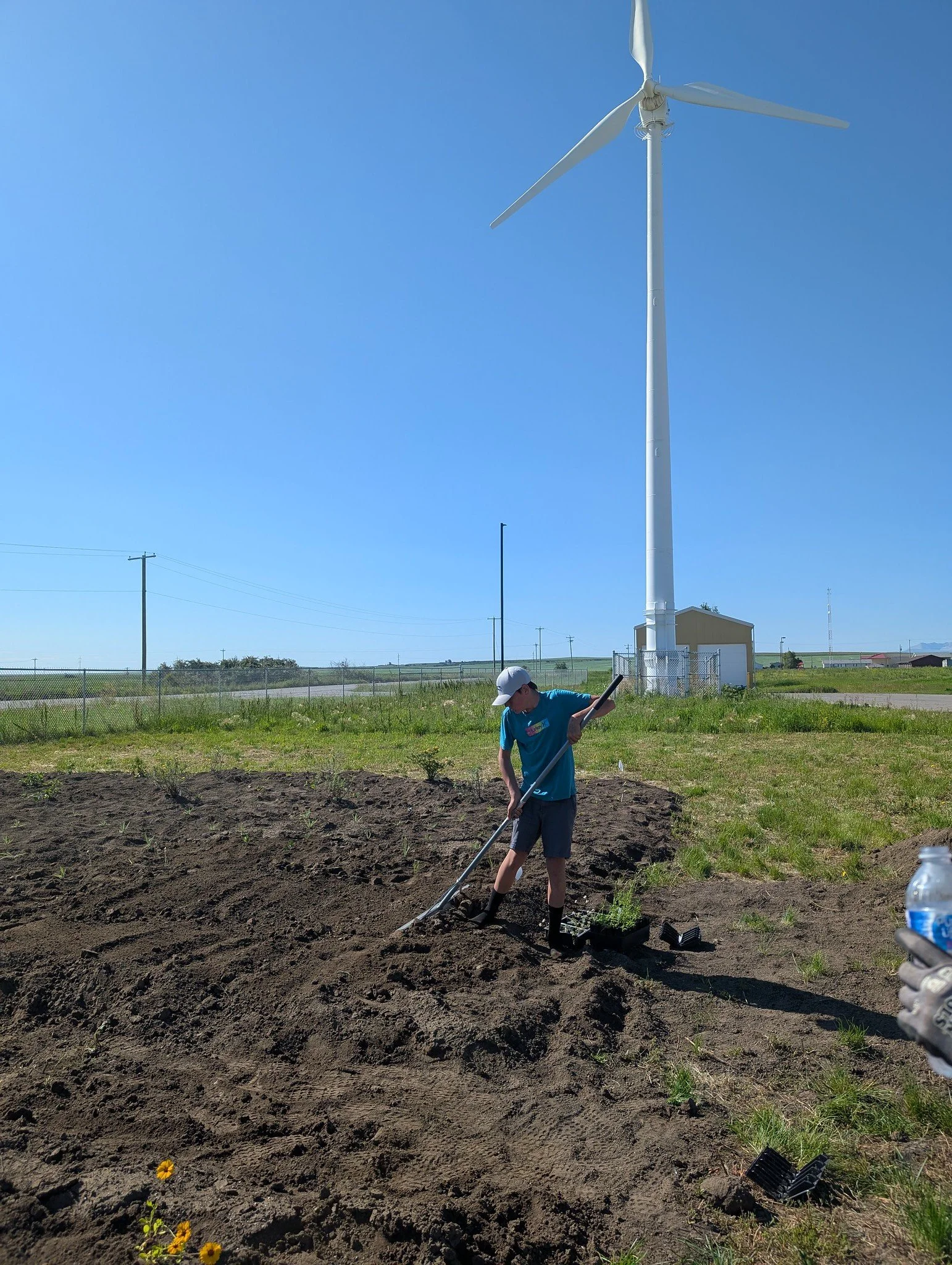 Lavern Pollinator Garden