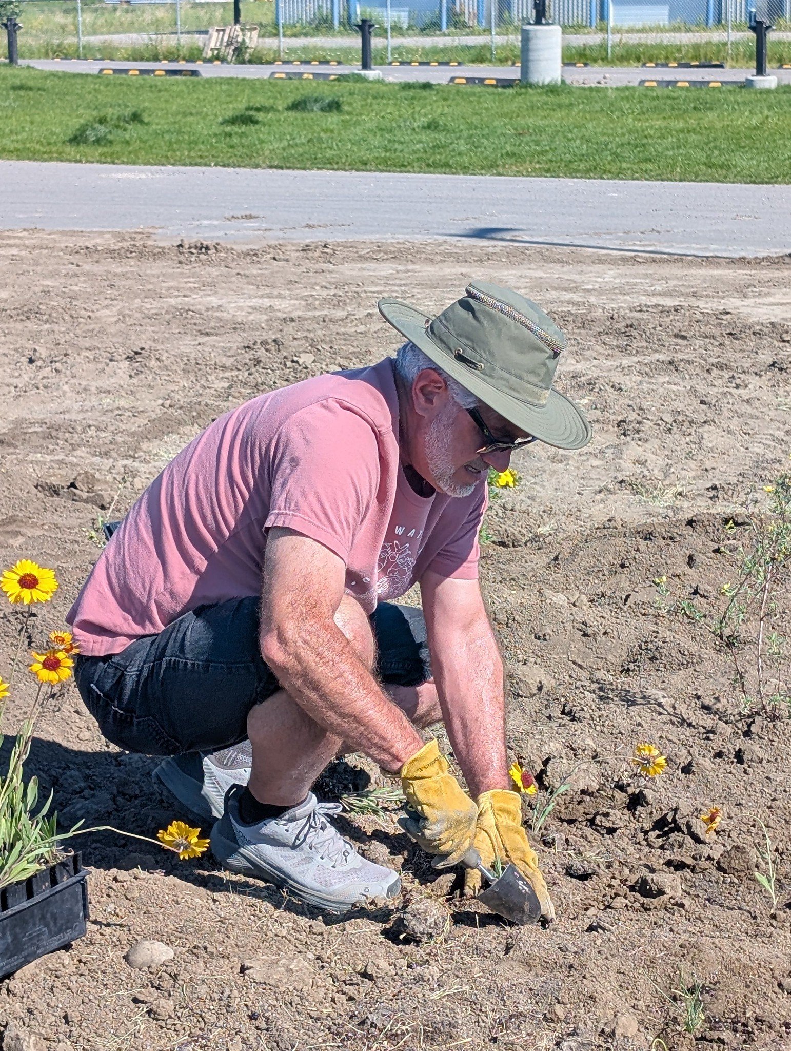 Lavern Pollinator Garden