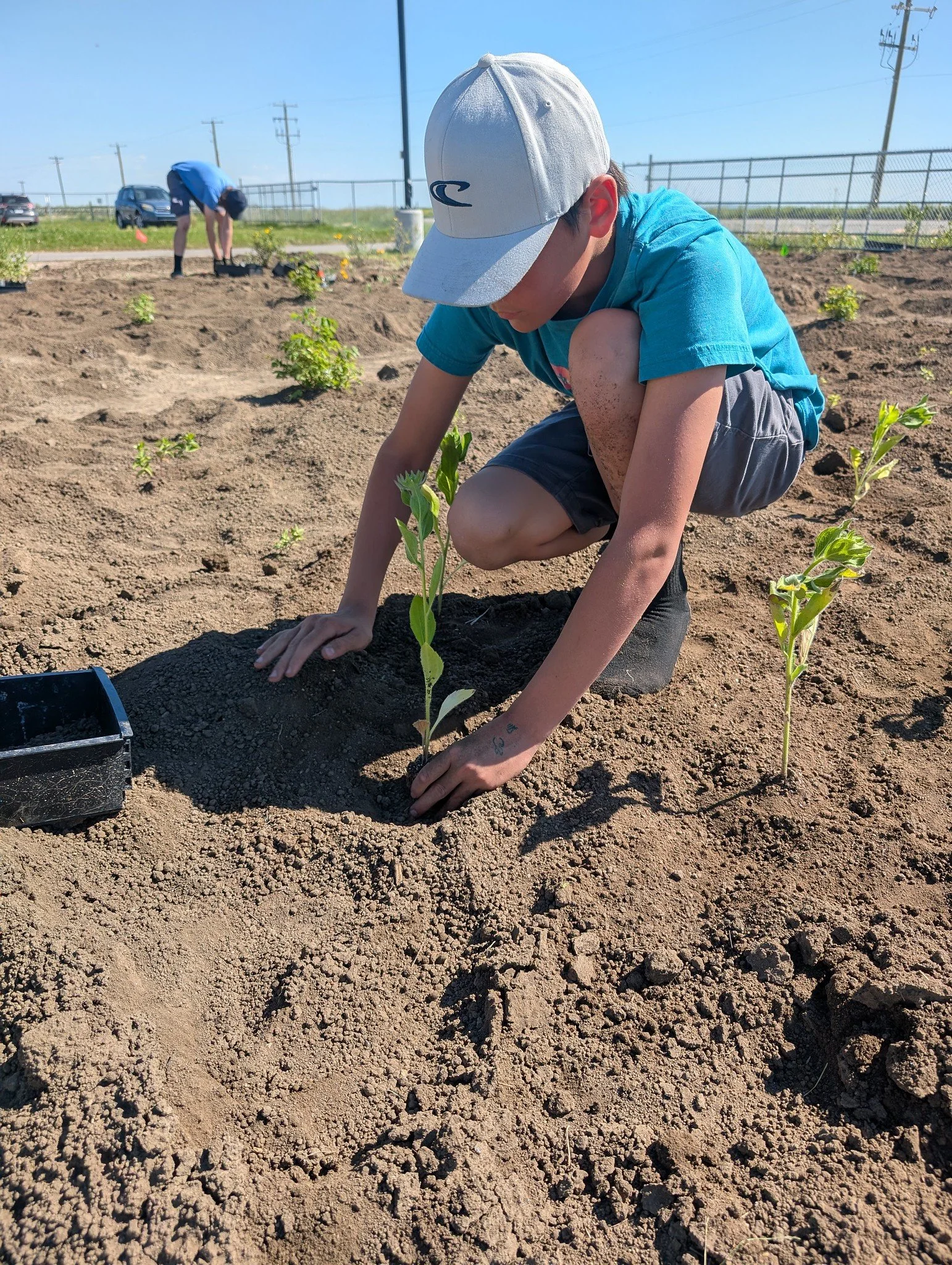 Lavern Pollinator Garden