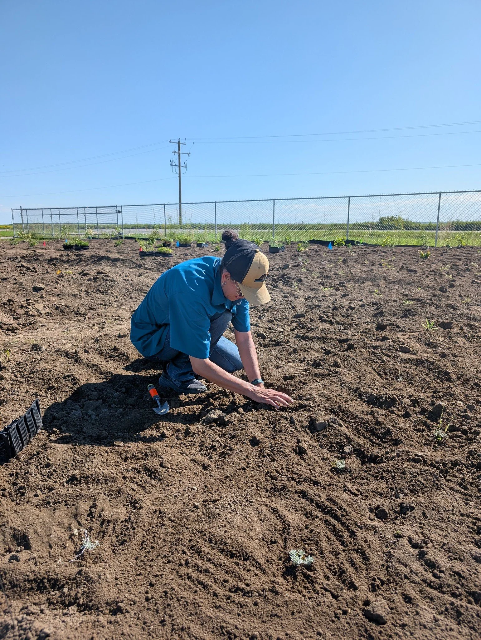 Lavern Pollinator Garden