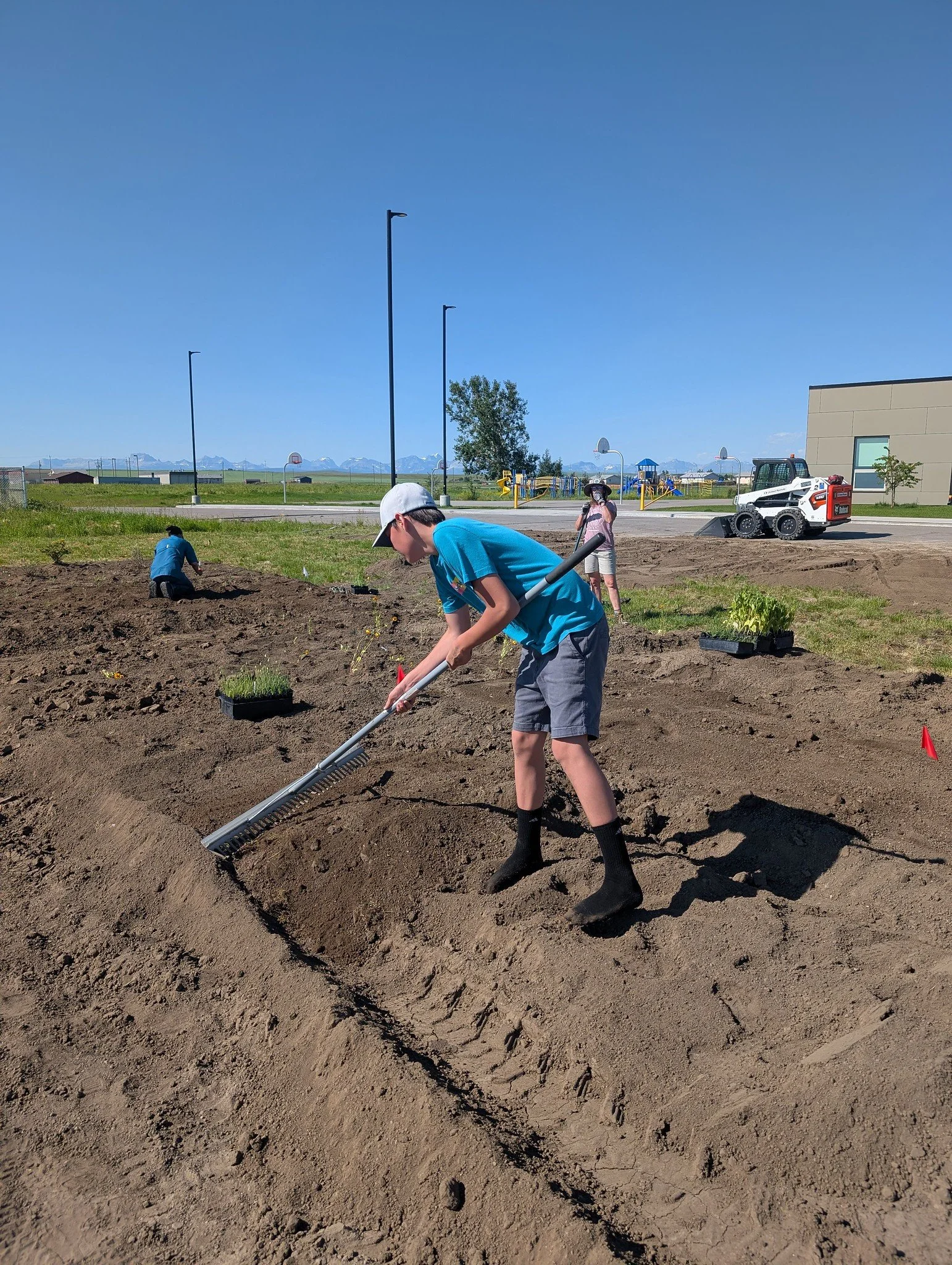 Lavern Pollinator Garden