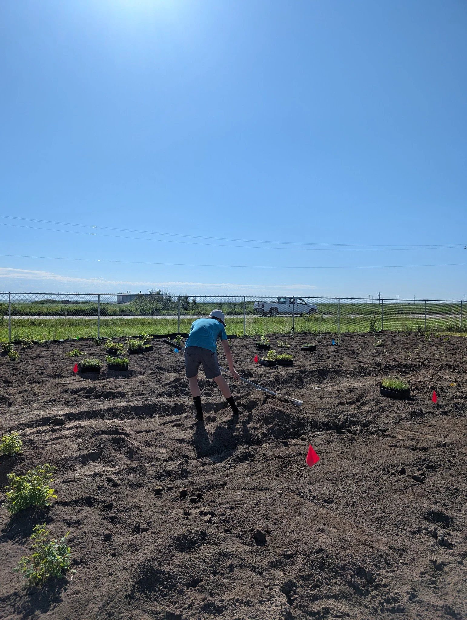 Lavern Pollinator Garden