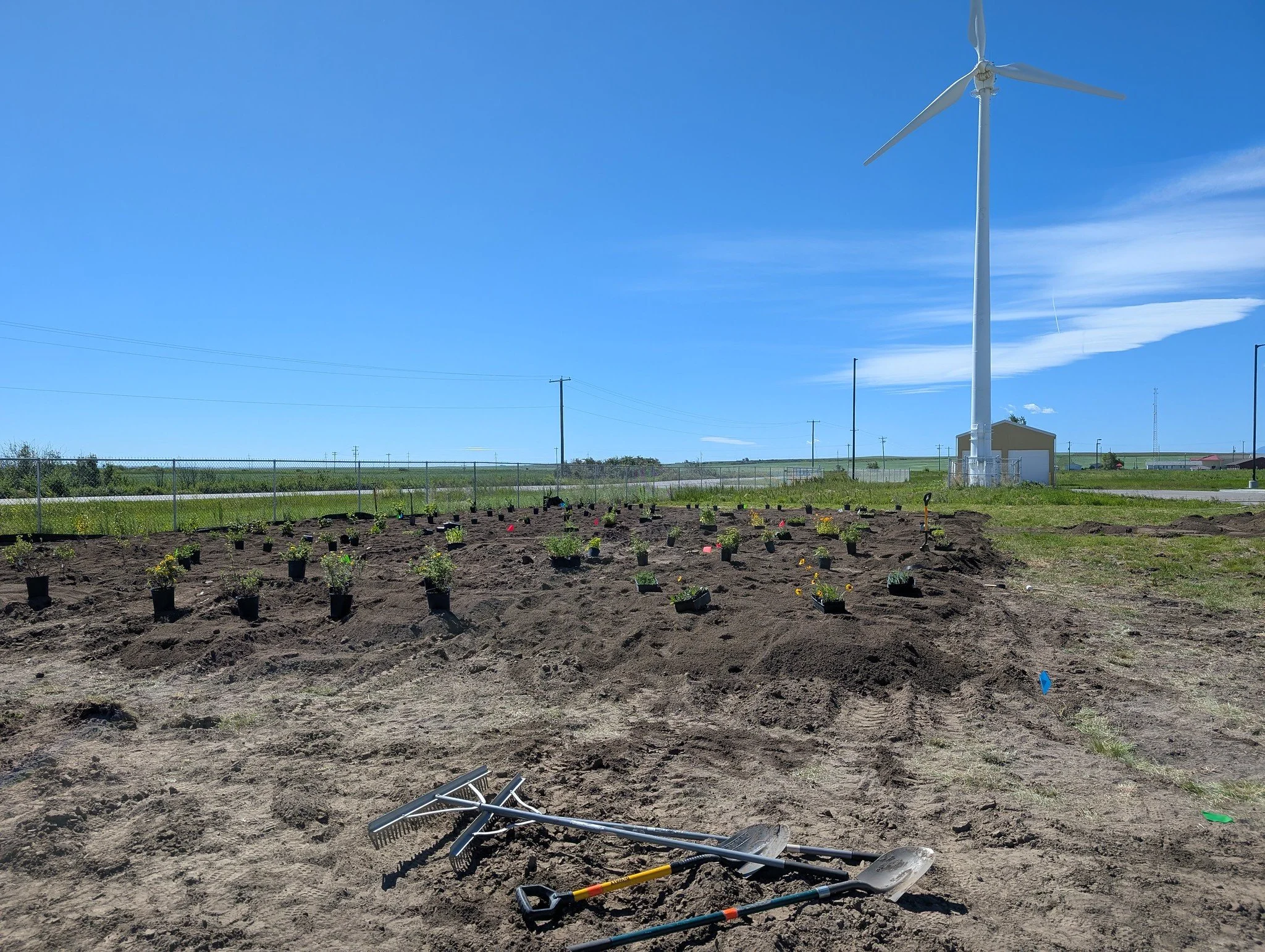 Lavern Pollinator Garden