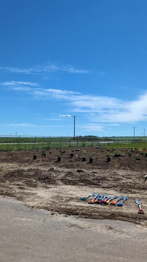Lavern Pollinator Garden