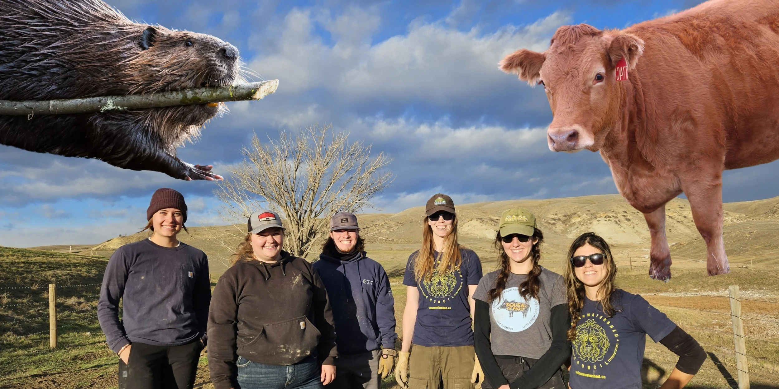 Six Ways OWC Supports Stewardship in our Watershed