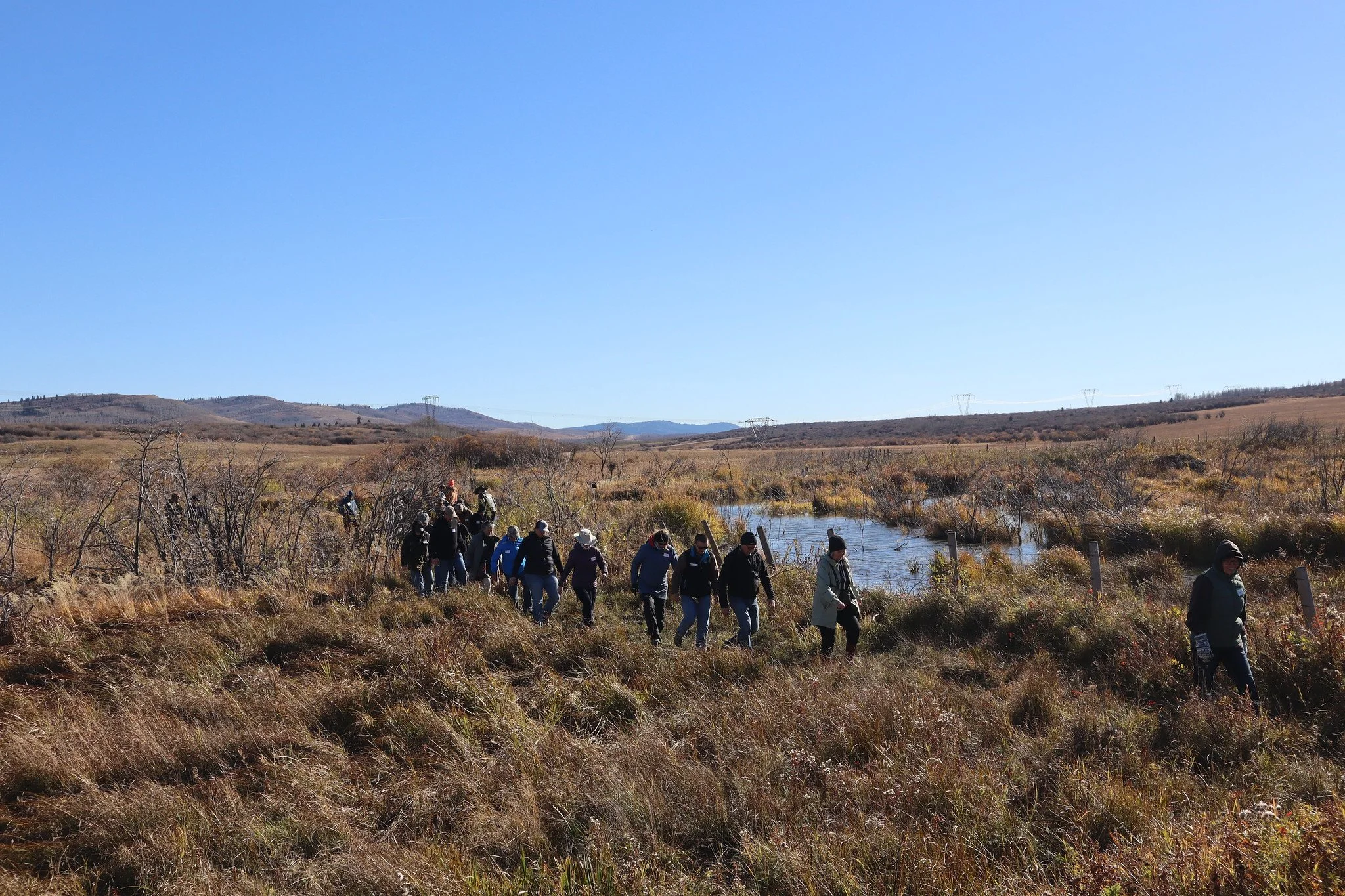 Beaver Coexistence, Mt. Sentinel Ranch