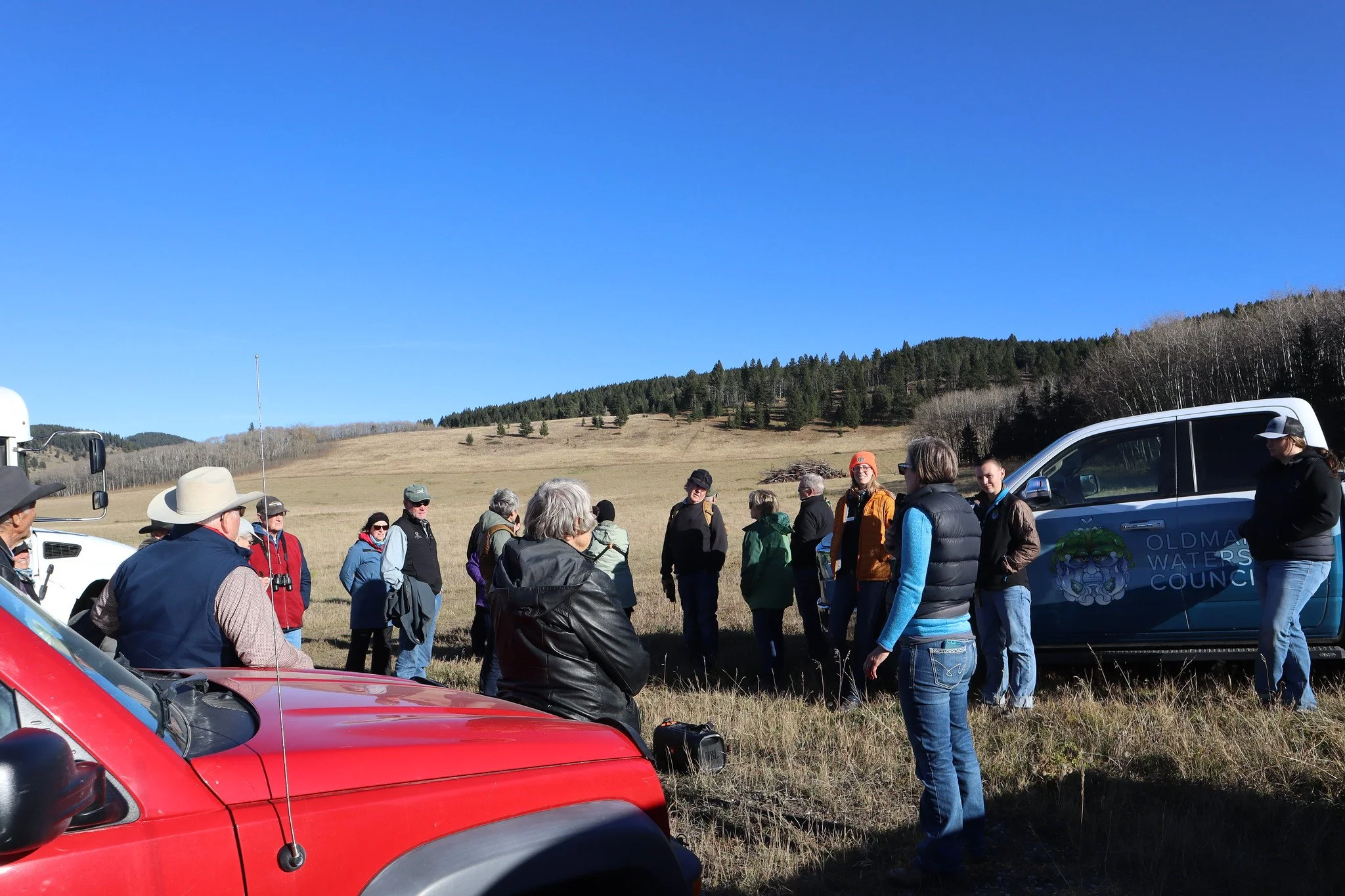 Timber Encroachment, Waldron Ranch