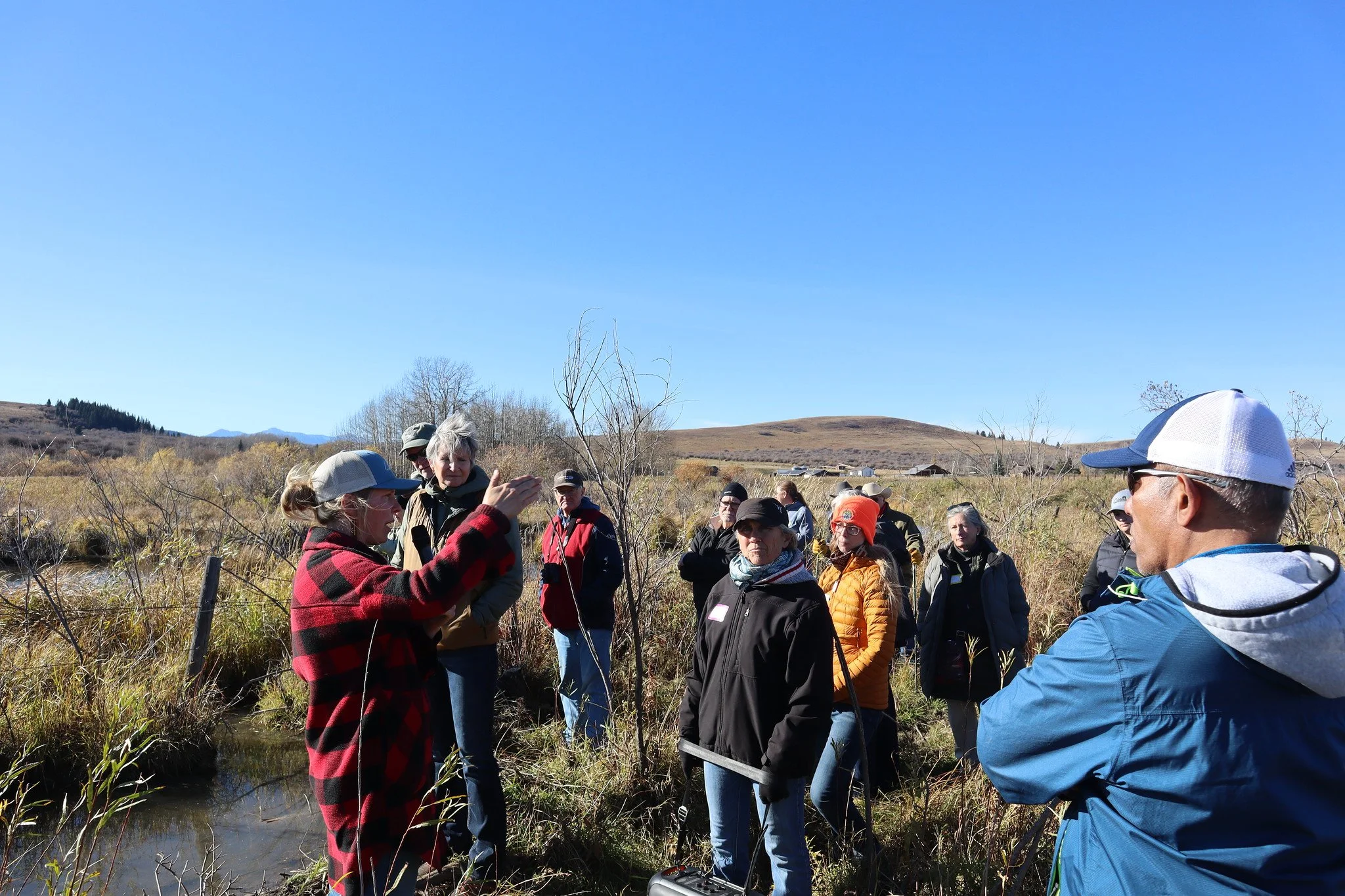 Beaver Coexistence, Mt. Sentinel Ranch