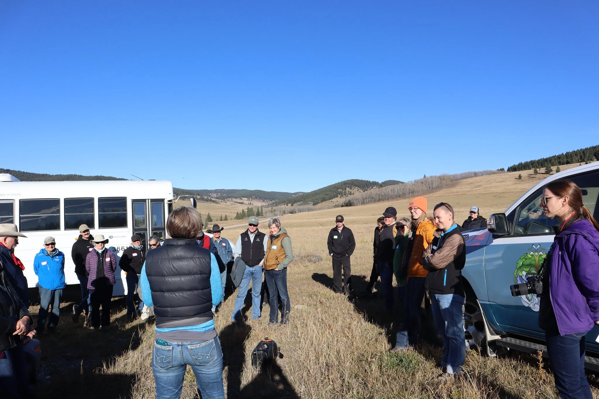 Timber Encroachment, Waldron Ranch