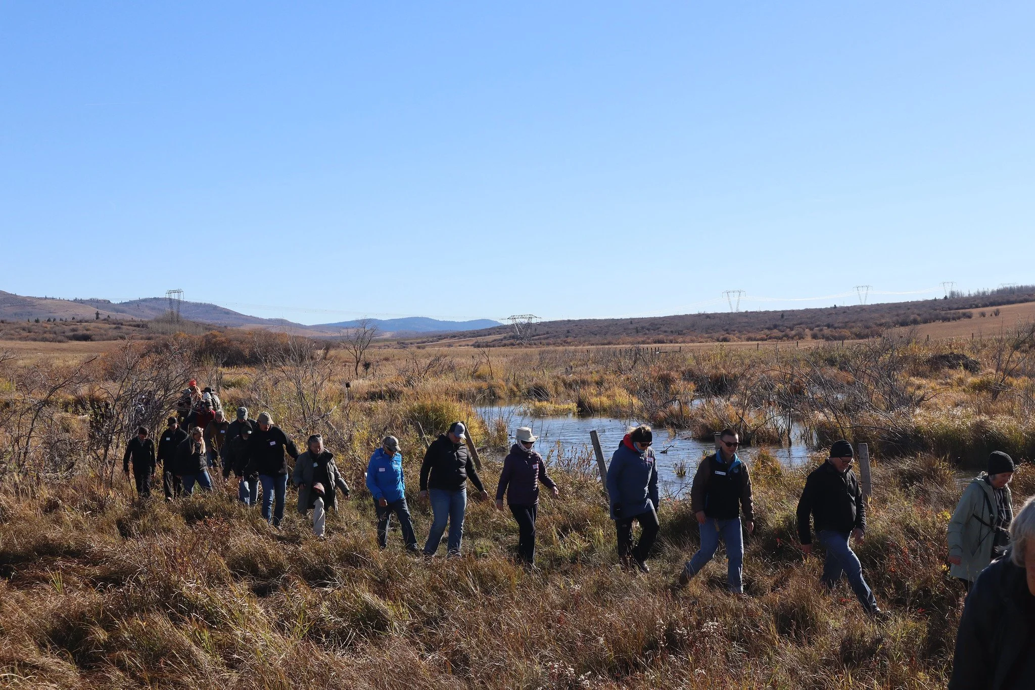 Beaver Coexistence, Mt. Sentinel Ranch