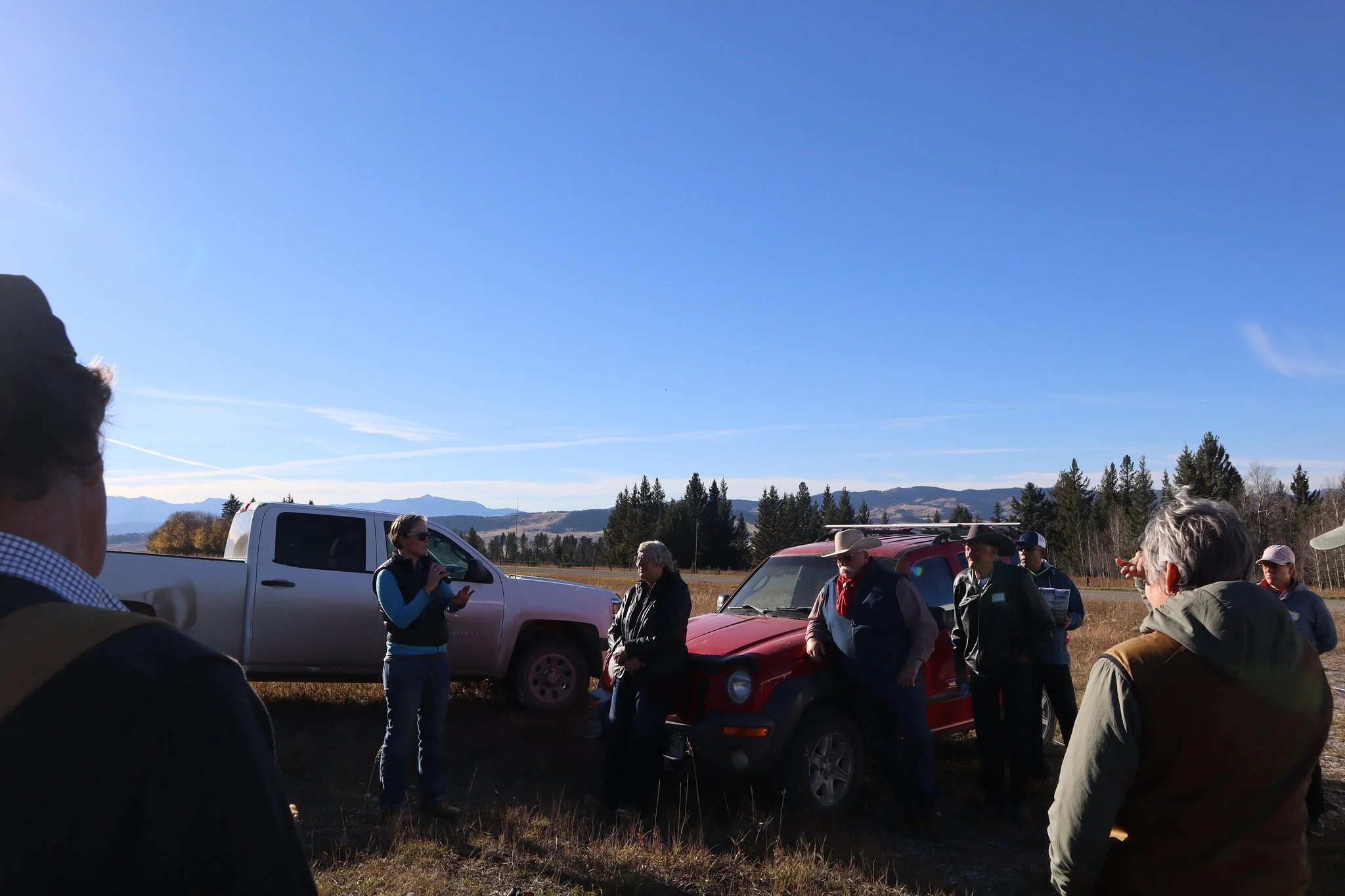 Timber Encroachment, Waldron Ranch