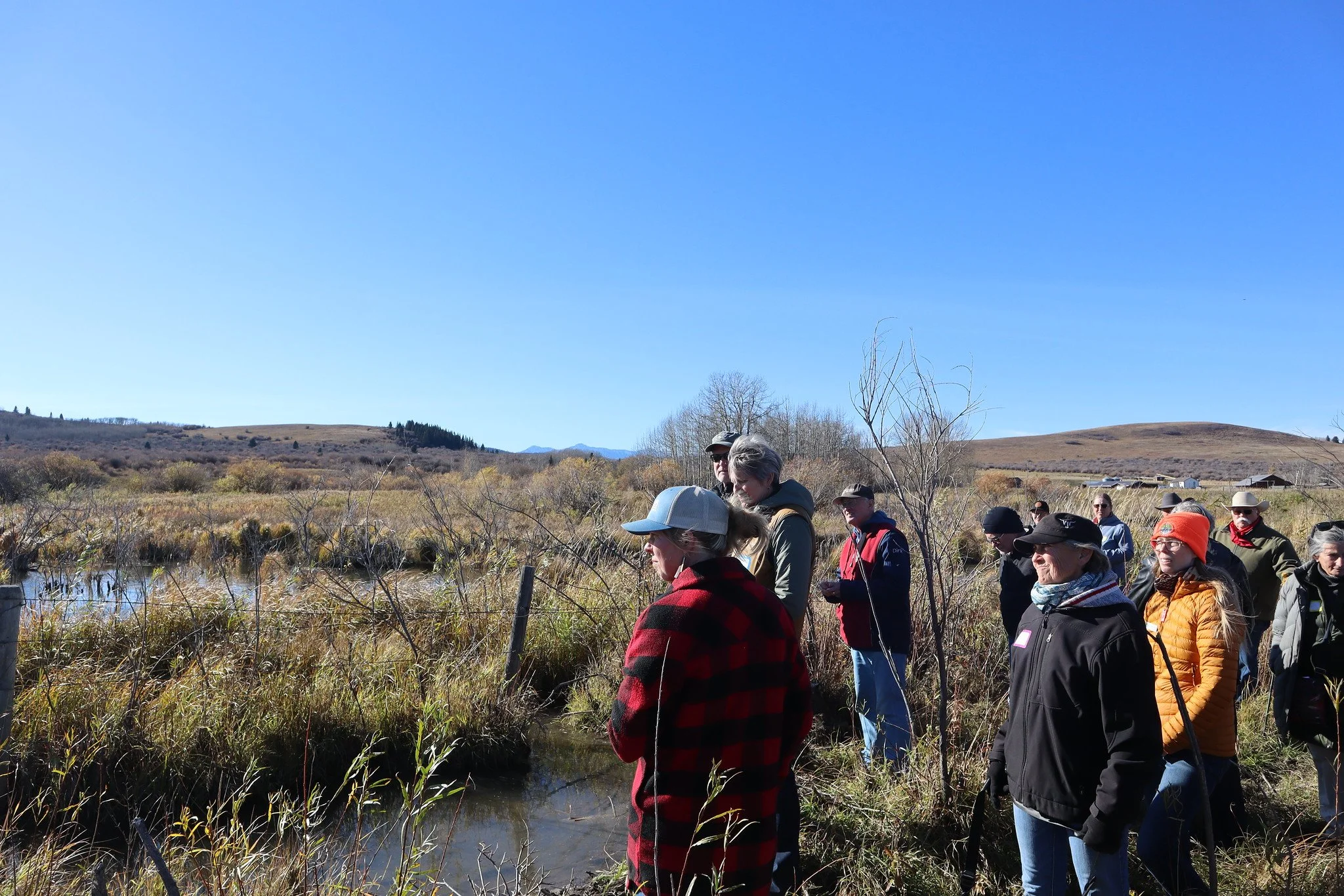 Beaver Coexistence, Mt. Sentinel Ranch