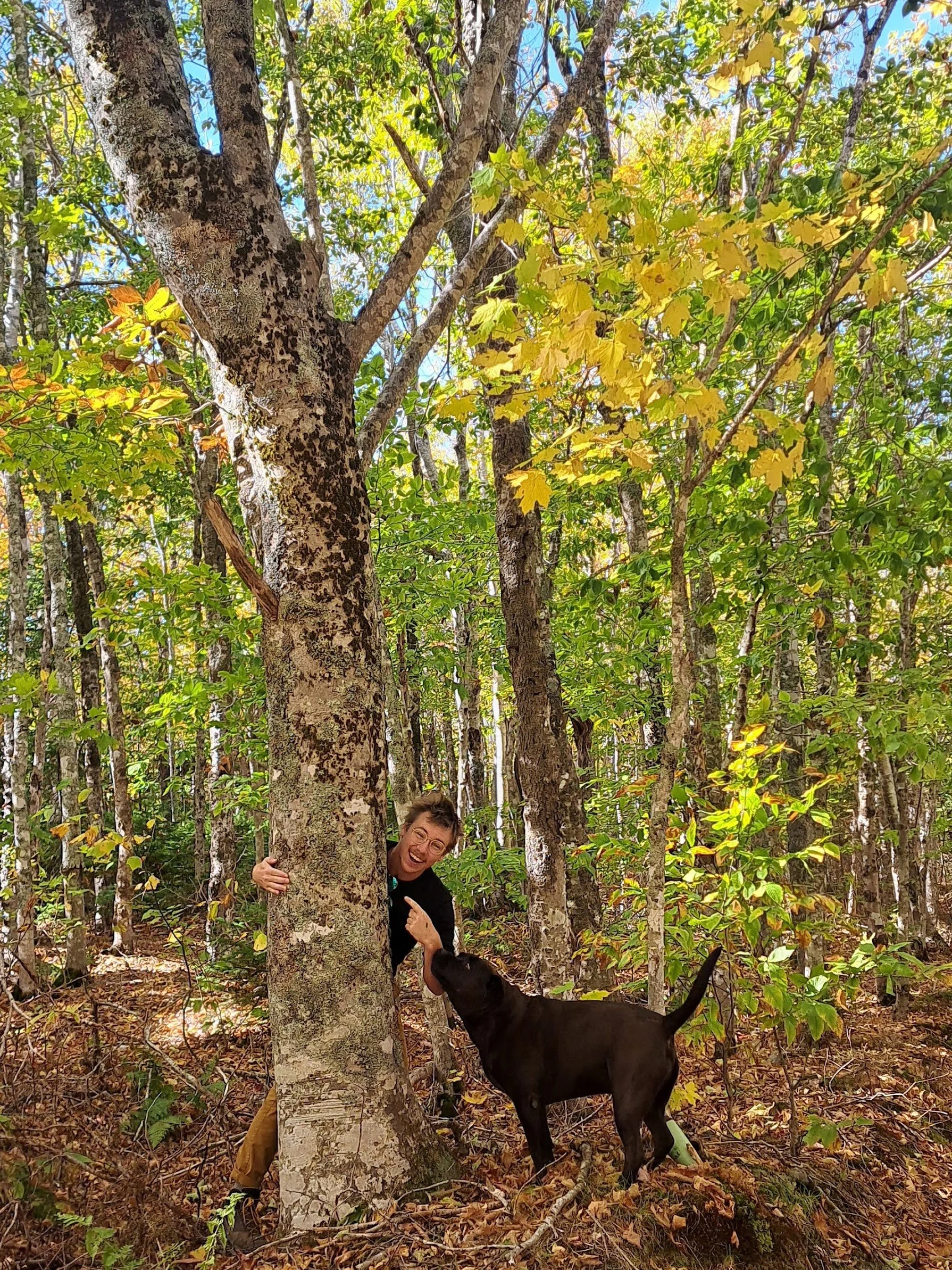Elijah peeking out from behind a tree with a dog beside it