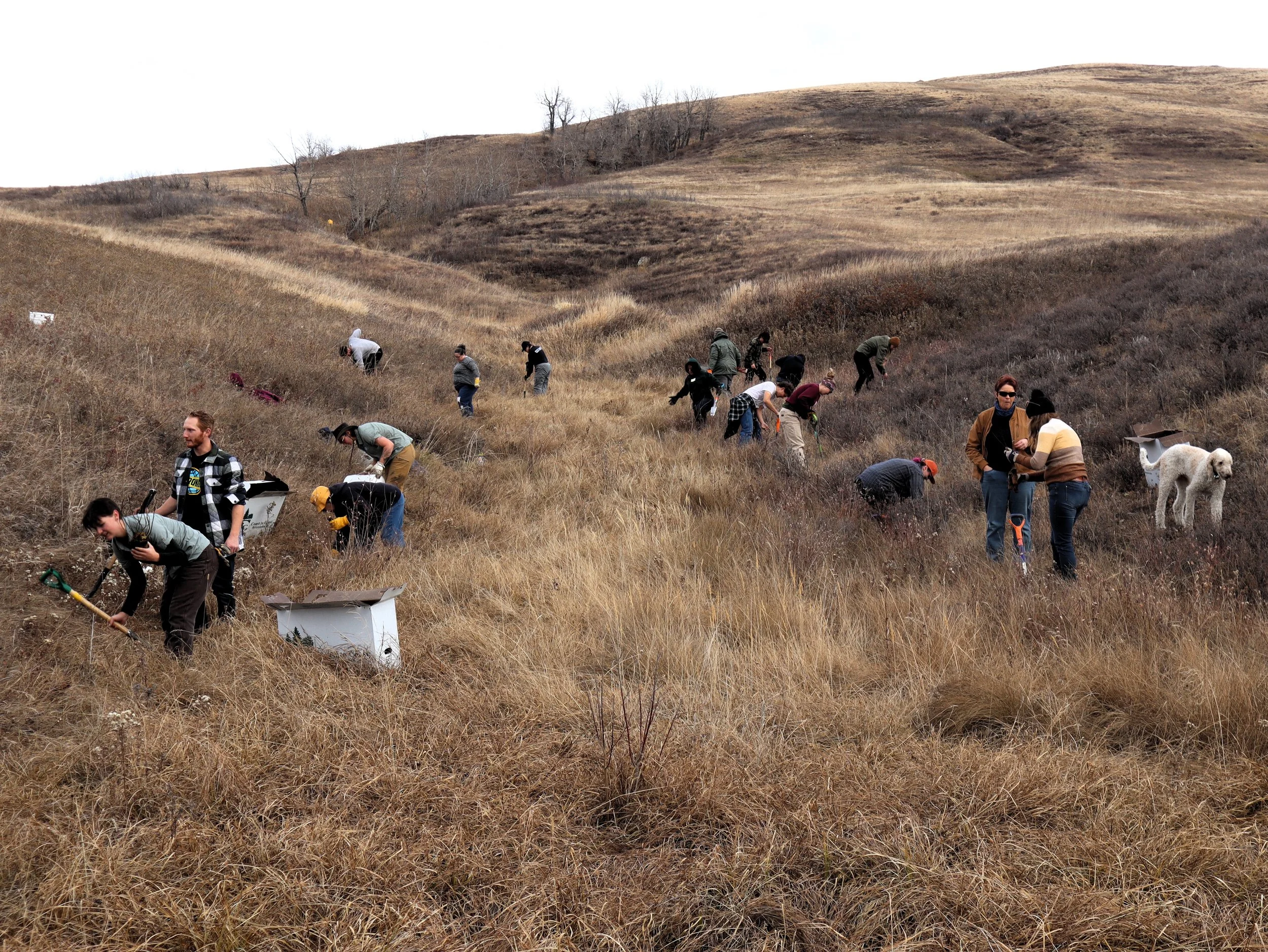 about 20 people working in a grassy riparian zone