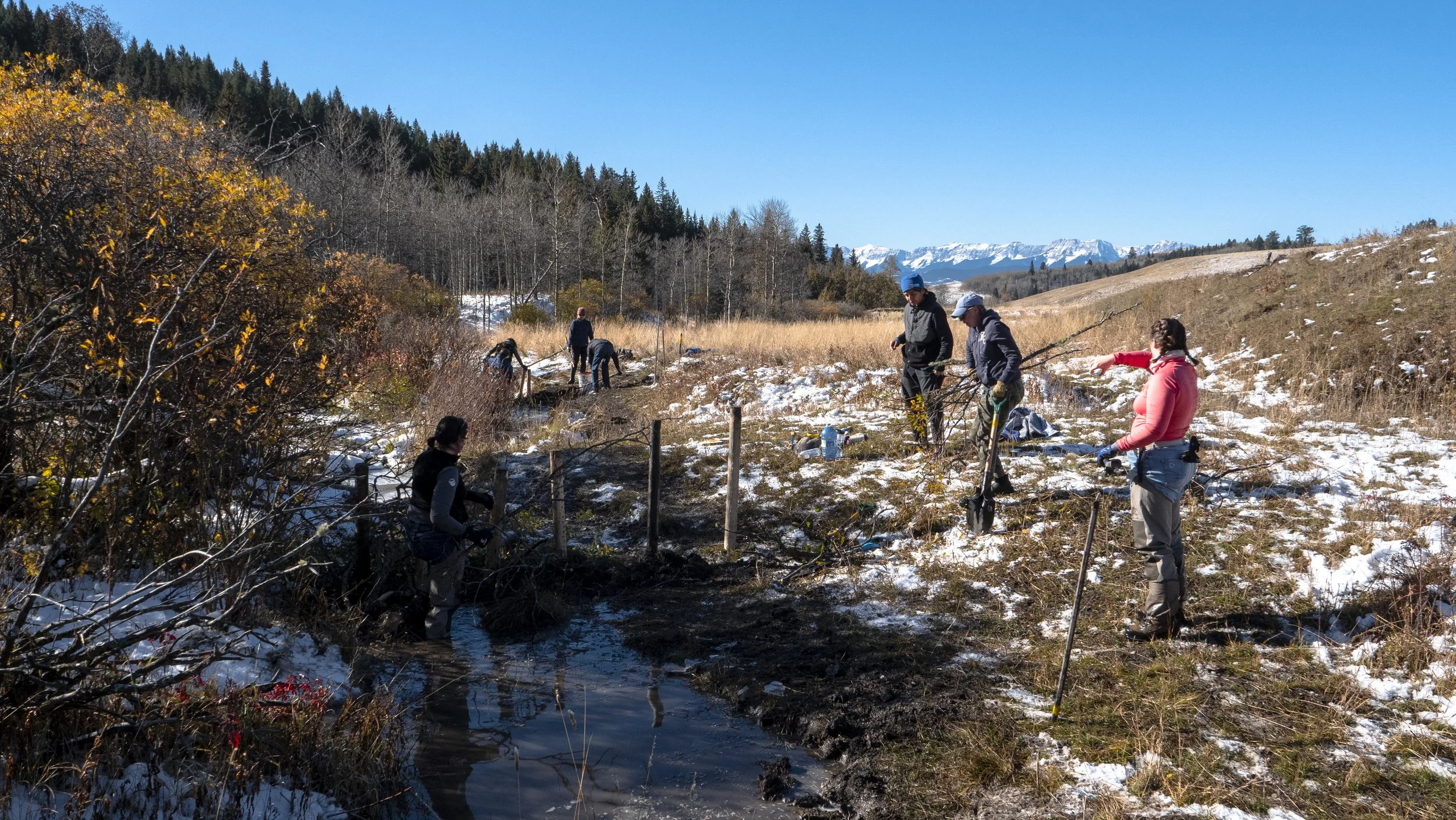 half a dozen people in a partially snowy field, with mountains in the background