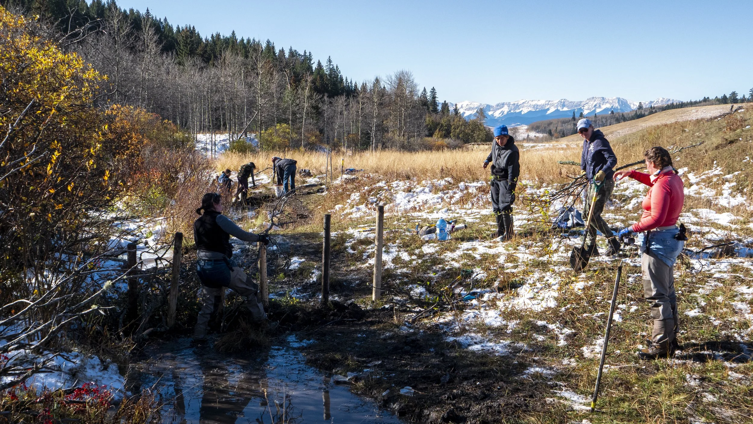 half a dozen people with shovels working near a creek, with a bit of snow still on the ground