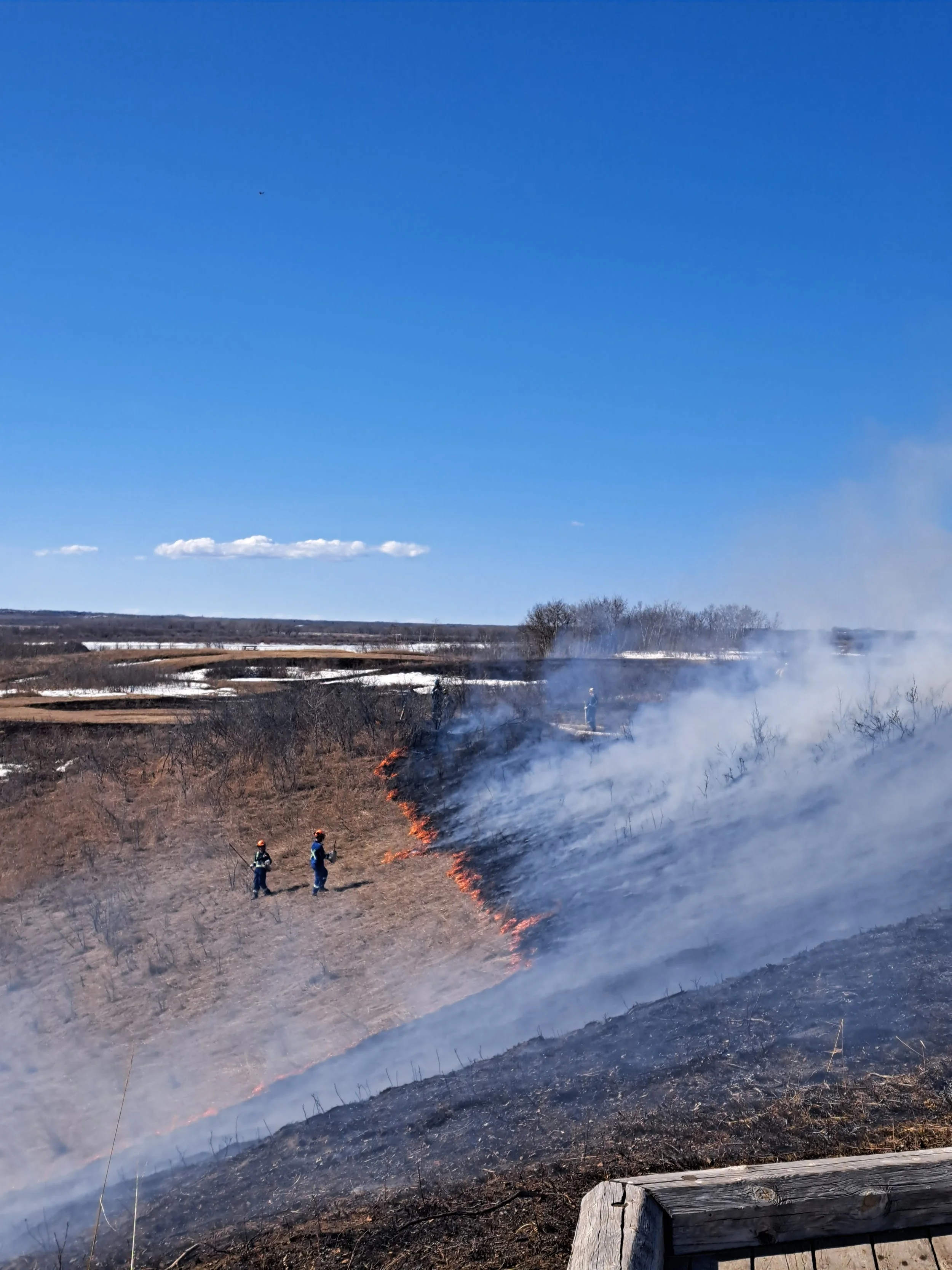 two people conducting a controlled burn with lots of smoke on a grassland