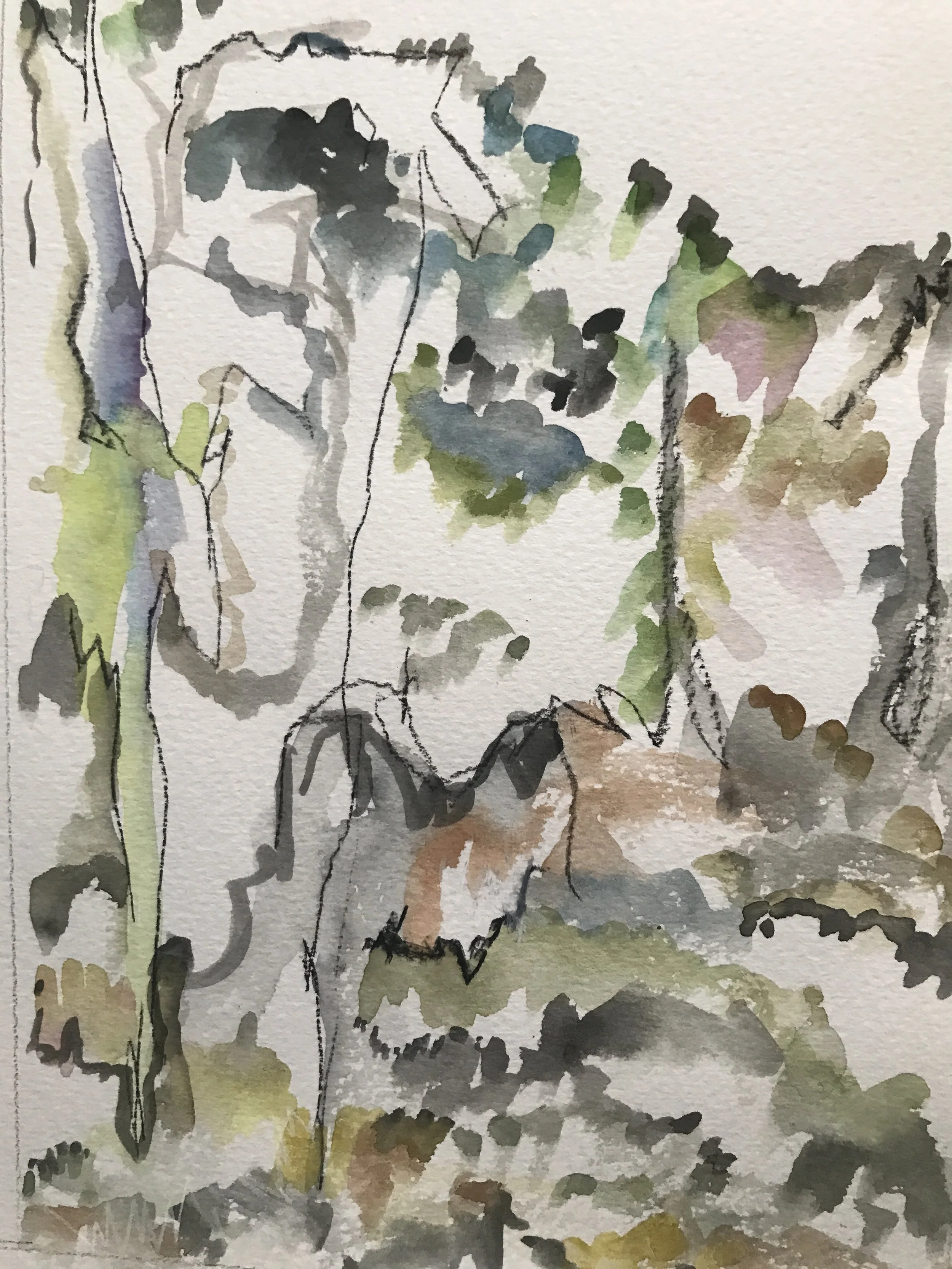  watercolour on cold pressed paper  21 x 29 cm  $400 (framed) 