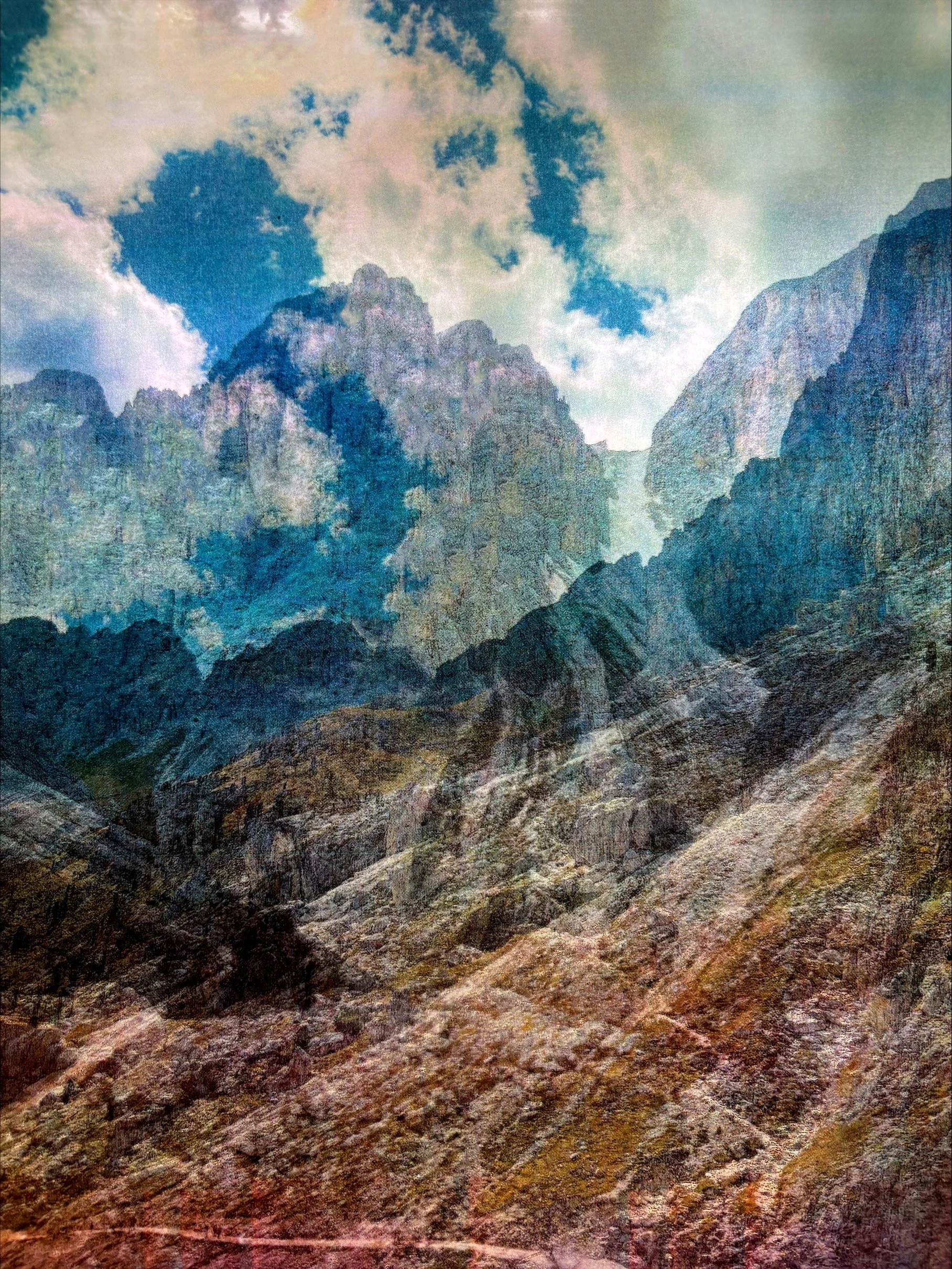  Unique Print on Brushed Metal  21 × 29 cm  $ 300  Photography Credit: Nico Oxley 