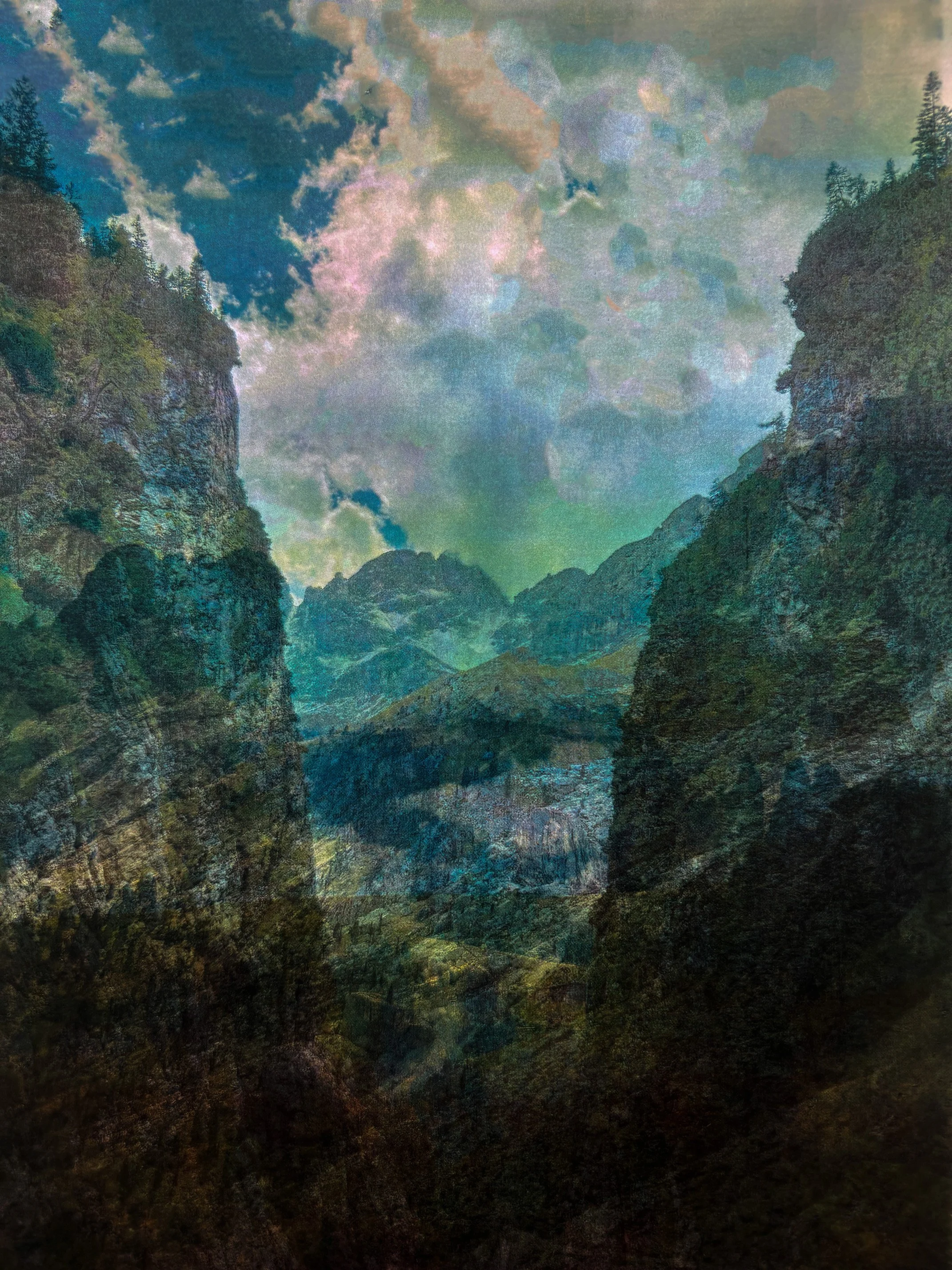  Unique Print on Brushed Metal  21 × 29 cm  $ 300  Photography Credit: Nico Oxley 