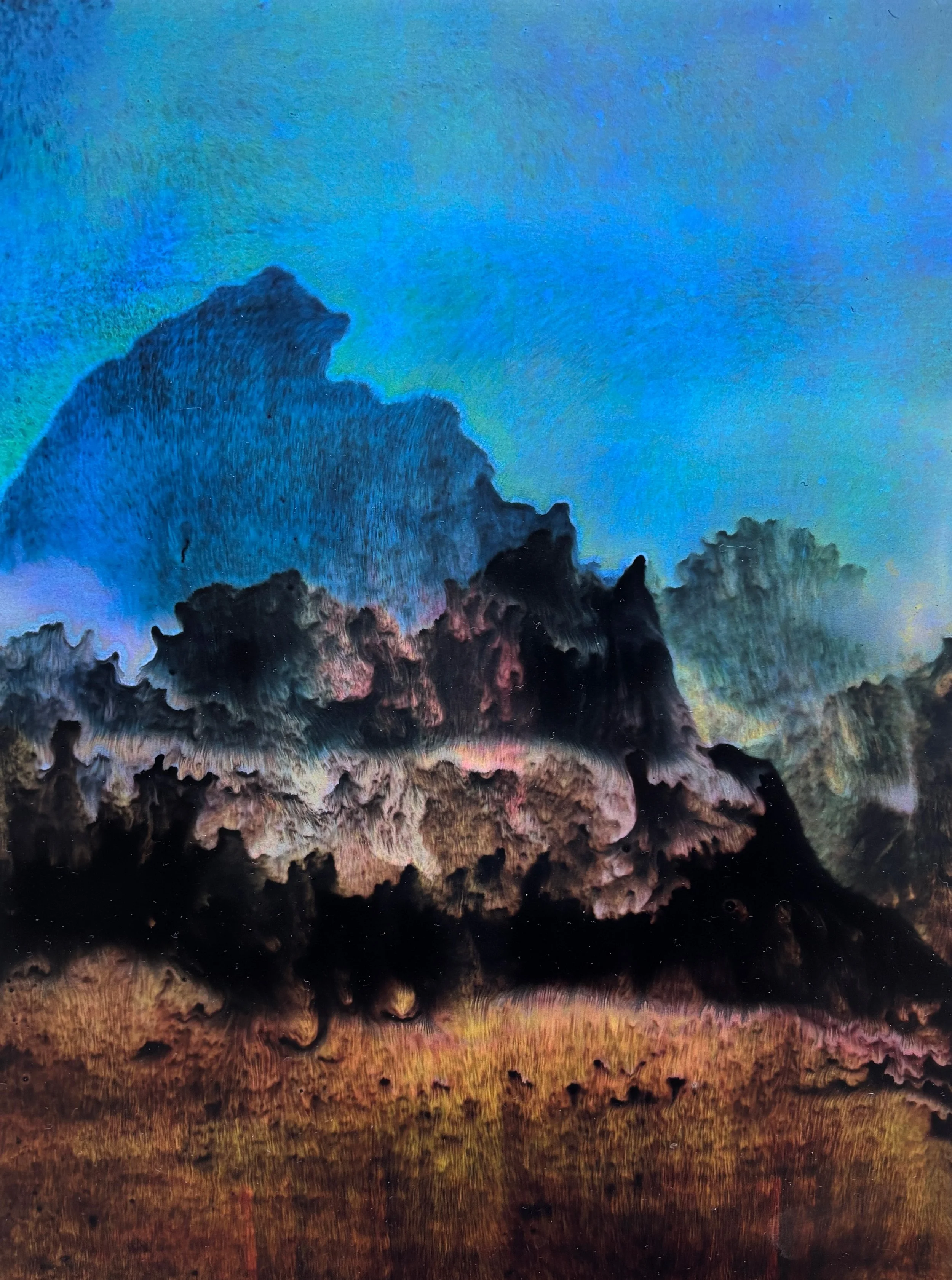  Unique Print on Yupo Paper  Image size 21 × 29 cm (framed 44 × 36 cm)  $ 380  Photography Credit: Nico Oxley 