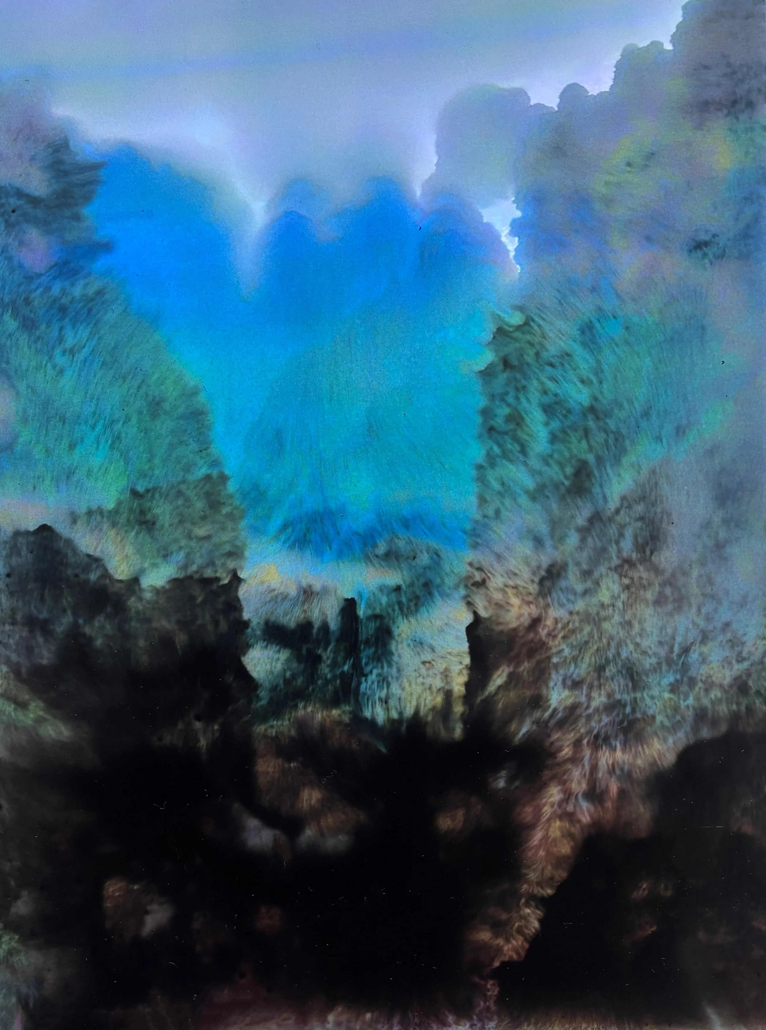  Unique Print on Yupo Paper  Image size 21 × 29 cm (framed 44 × 36 cm)  $ 380  Photography Credit: Nico Oxley 