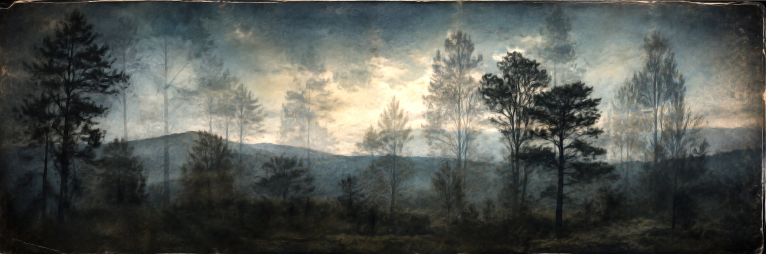 Night Fields