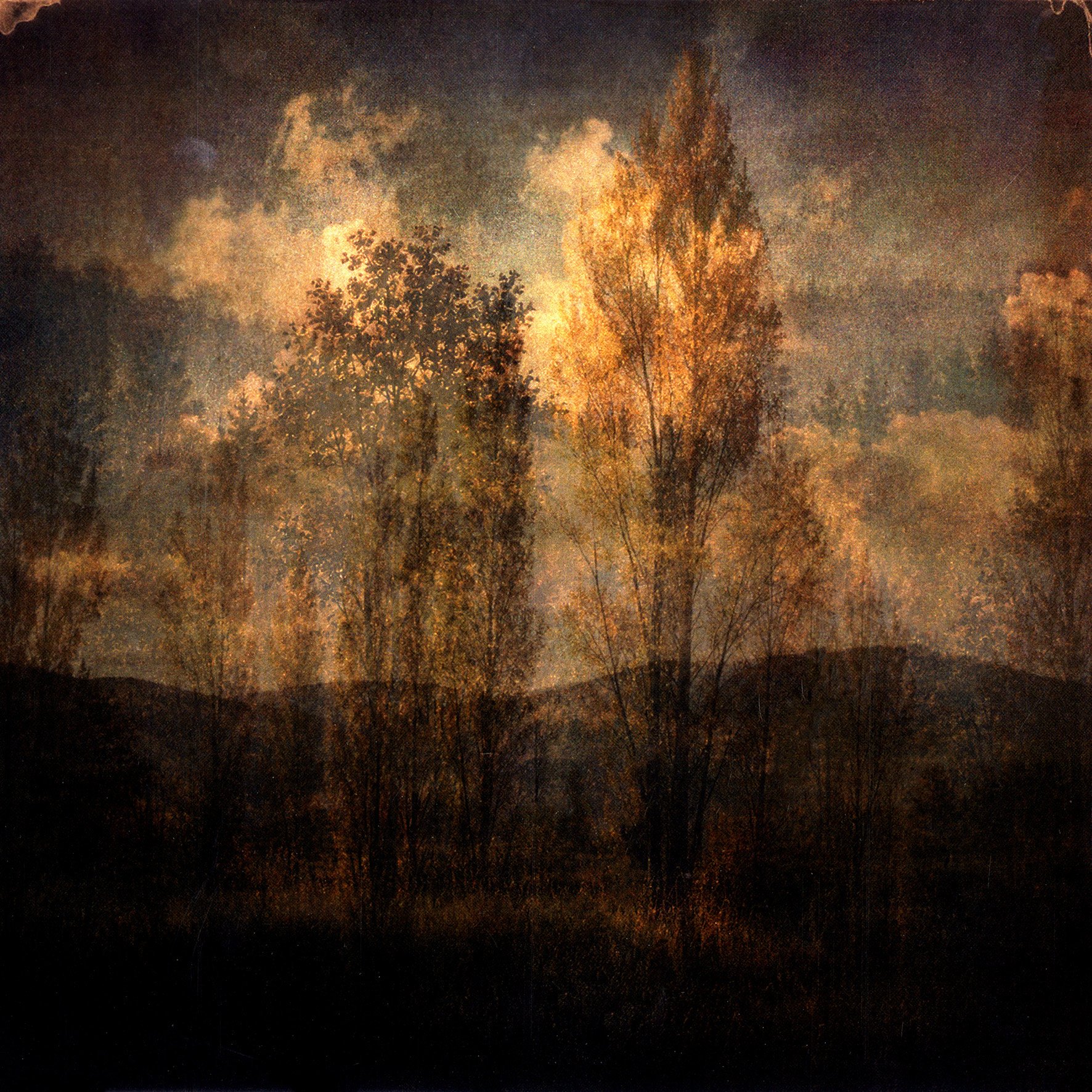 Premonitions 4