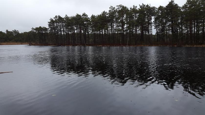 Allikajärv