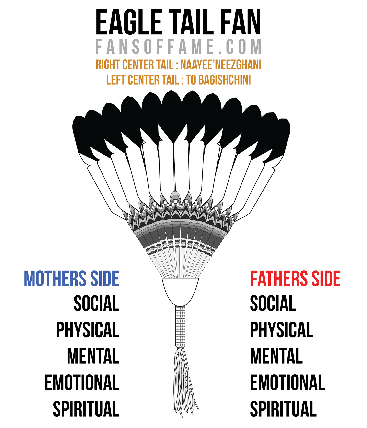 Meaning Of An Eagle Tail Or Hawk Tail Fan Fans Of Fame Meaning Of An Eagle Tail Or Hawk Tail Fan Fans Of Fame