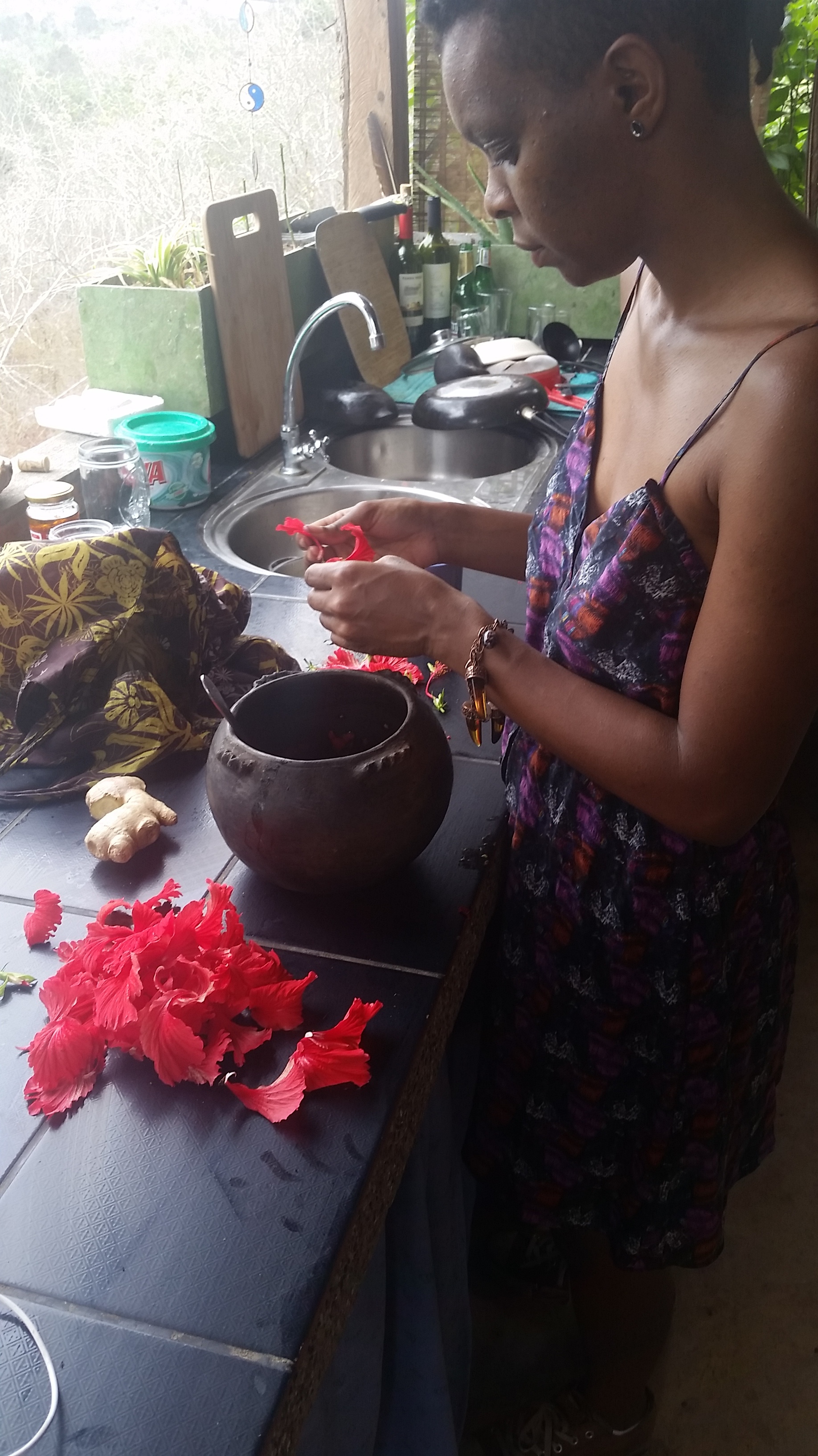 preparing hibiscus, ginger, mango tea for a cosmic journey