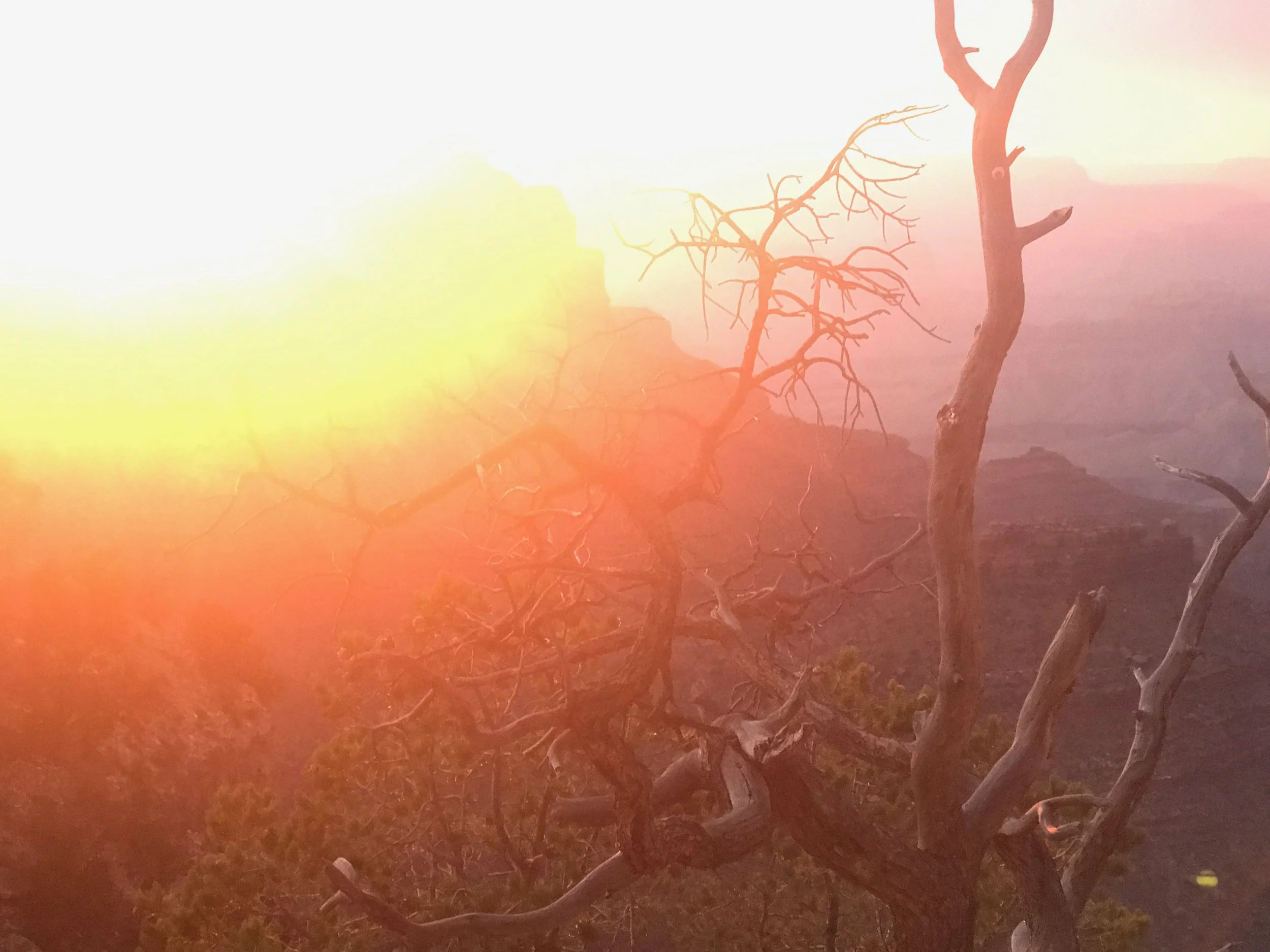 grand canyon sunset