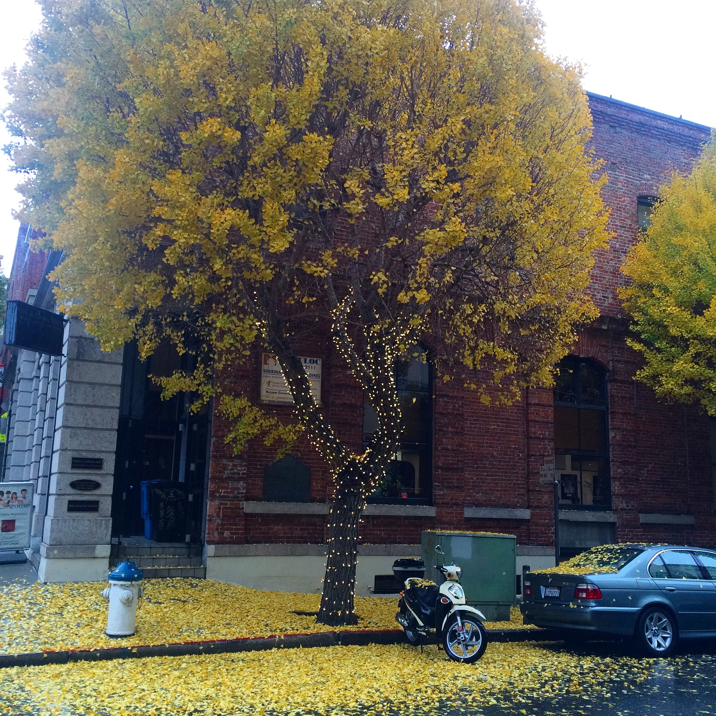 nature's sprinkles