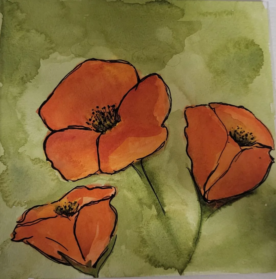 Custom poppy illustration by Andrea King